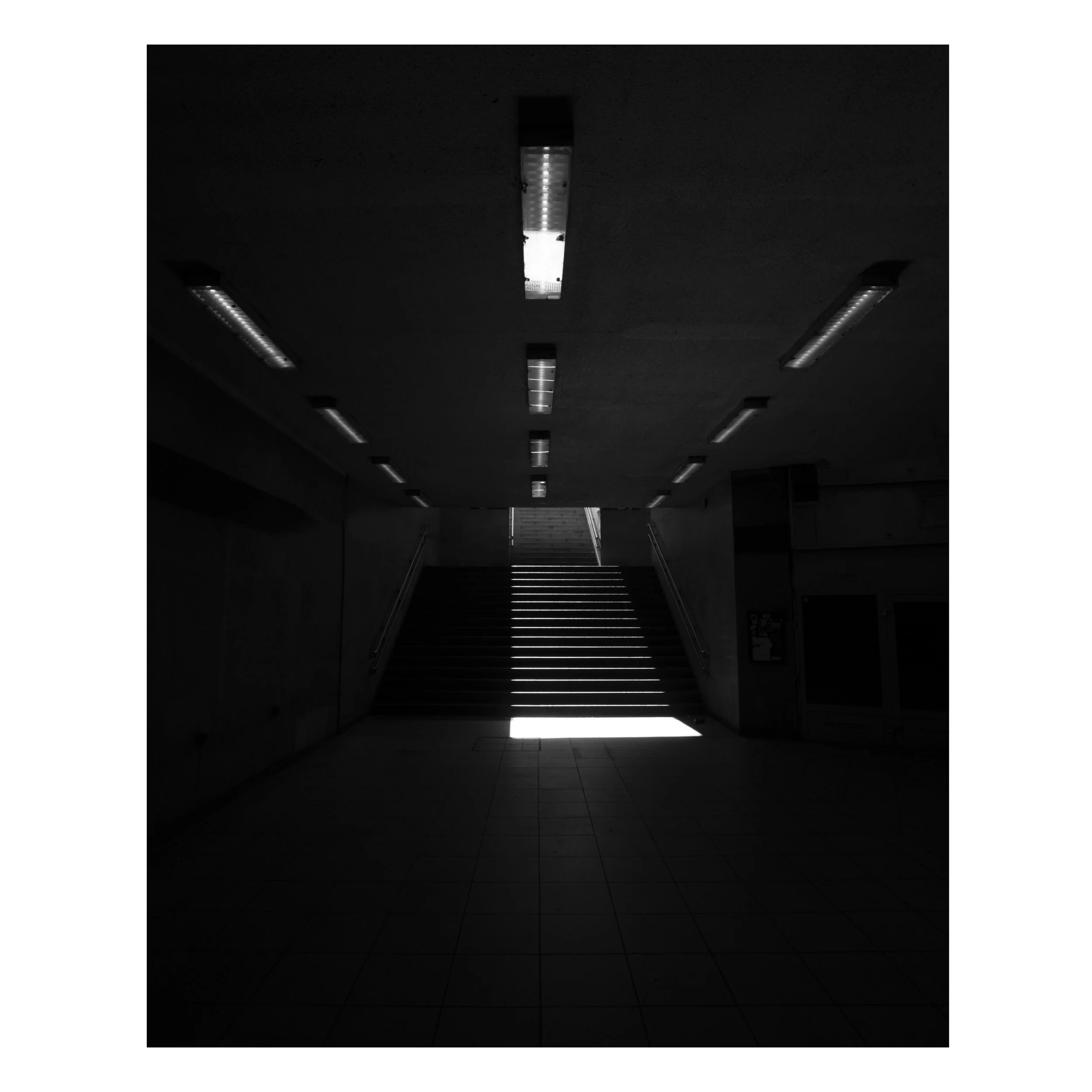 _DSF4545.jpg
