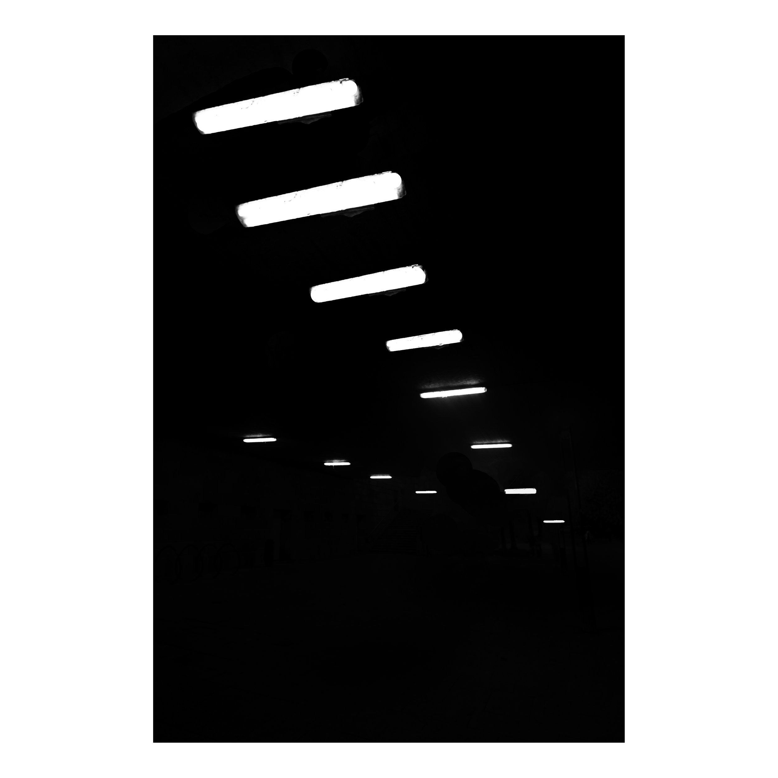 _DSF7296.jpg