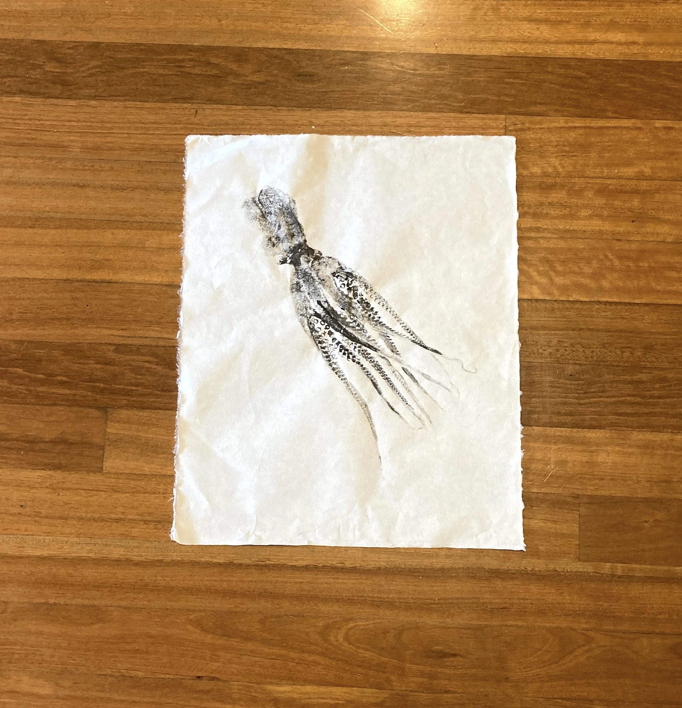 Octopus IMG_7245.JPG