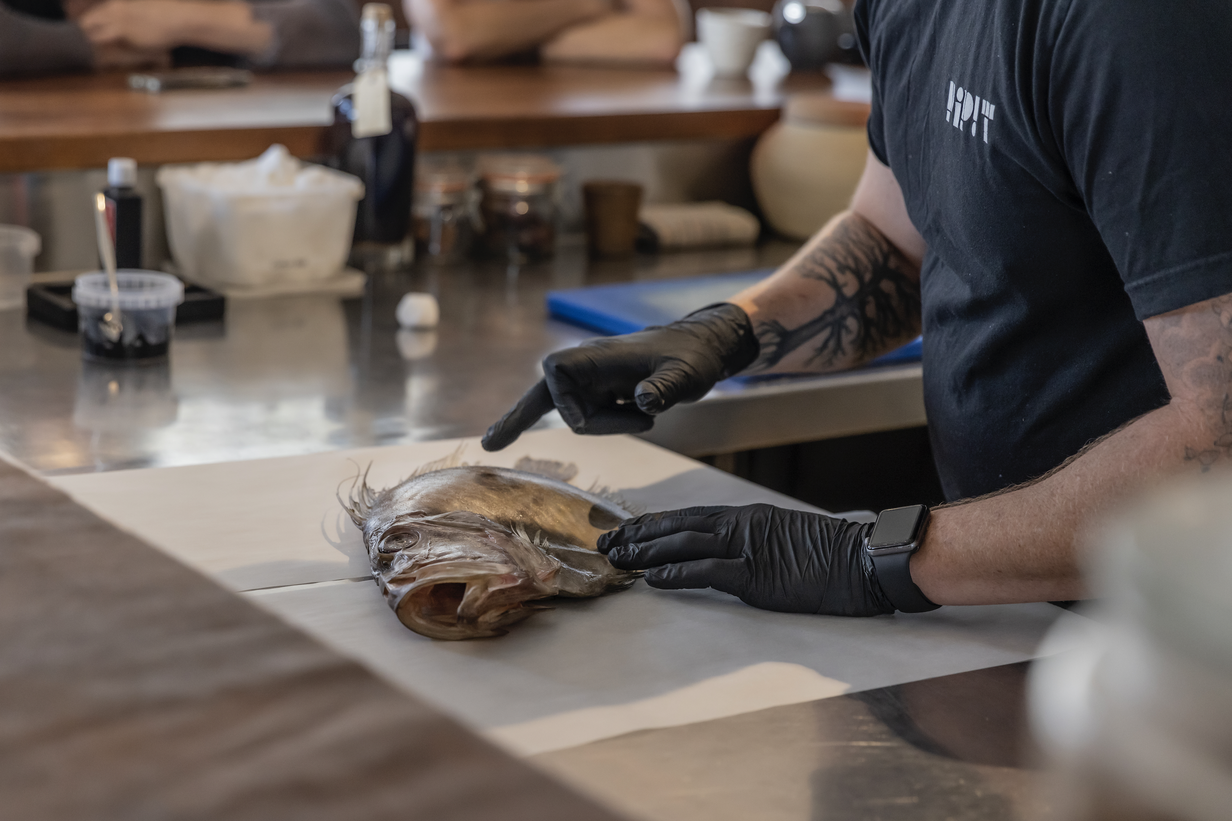 Screen Shot 2023-05-16 at 7.16.31 pm.png