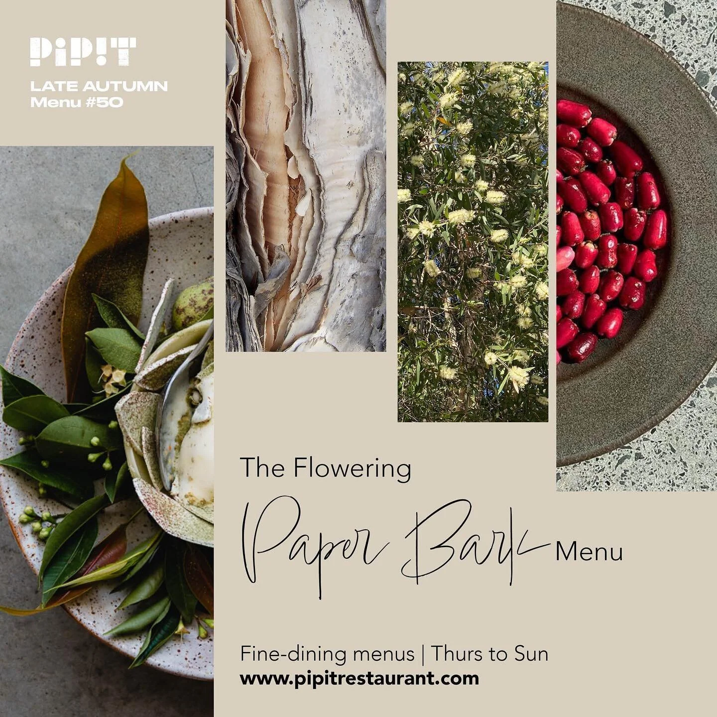 MENU UPDATE 

The current menu is nicknamed The "Flowering Paper Bark" Menu

You can see these flowers everywhere on the main roads and greenspaces in Pottsville and surrounds. 

It features on the menu as a tuna canape, that is served at t