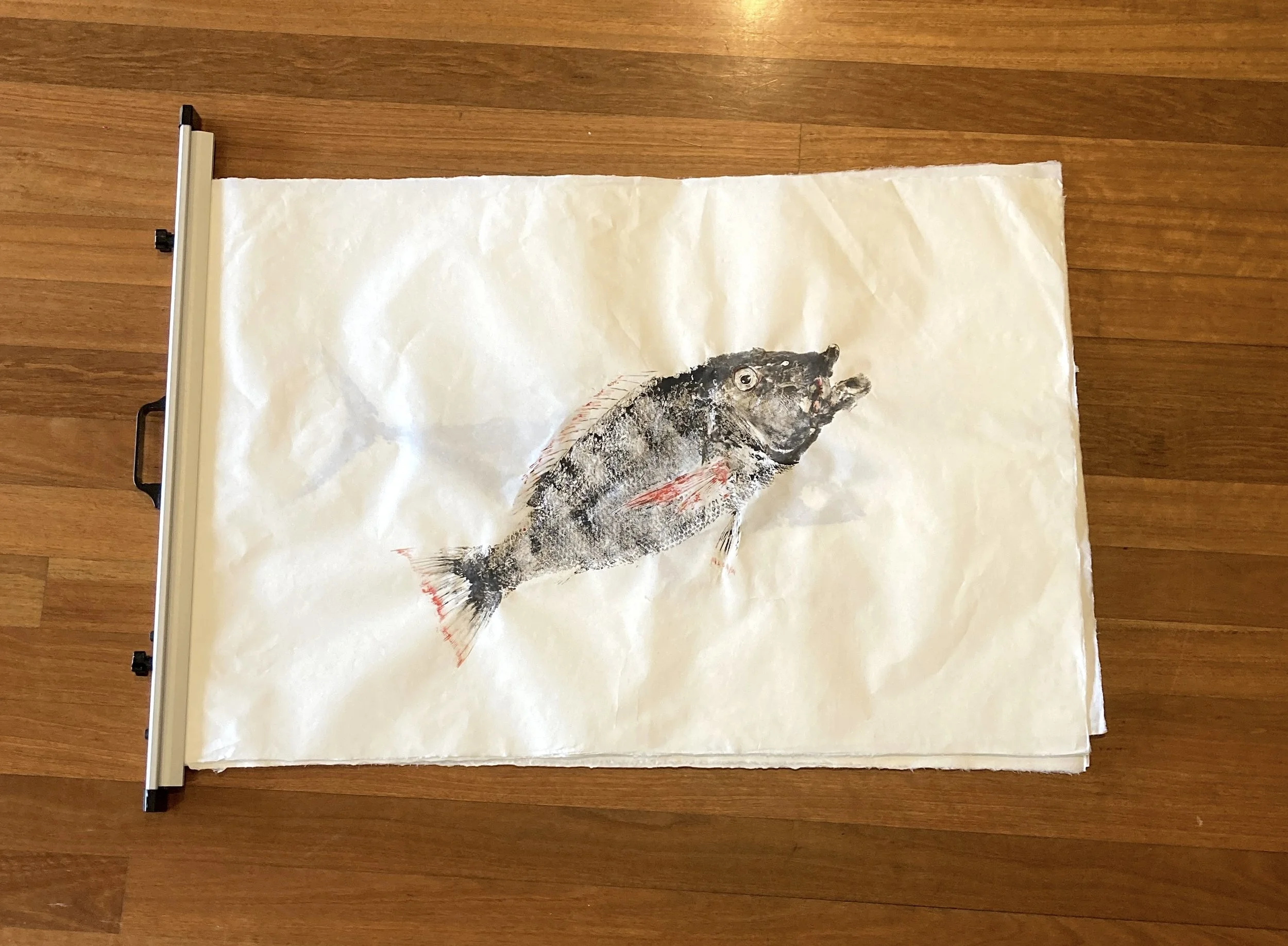 Red Throat Emperor - with Red Ink (98x64cm)