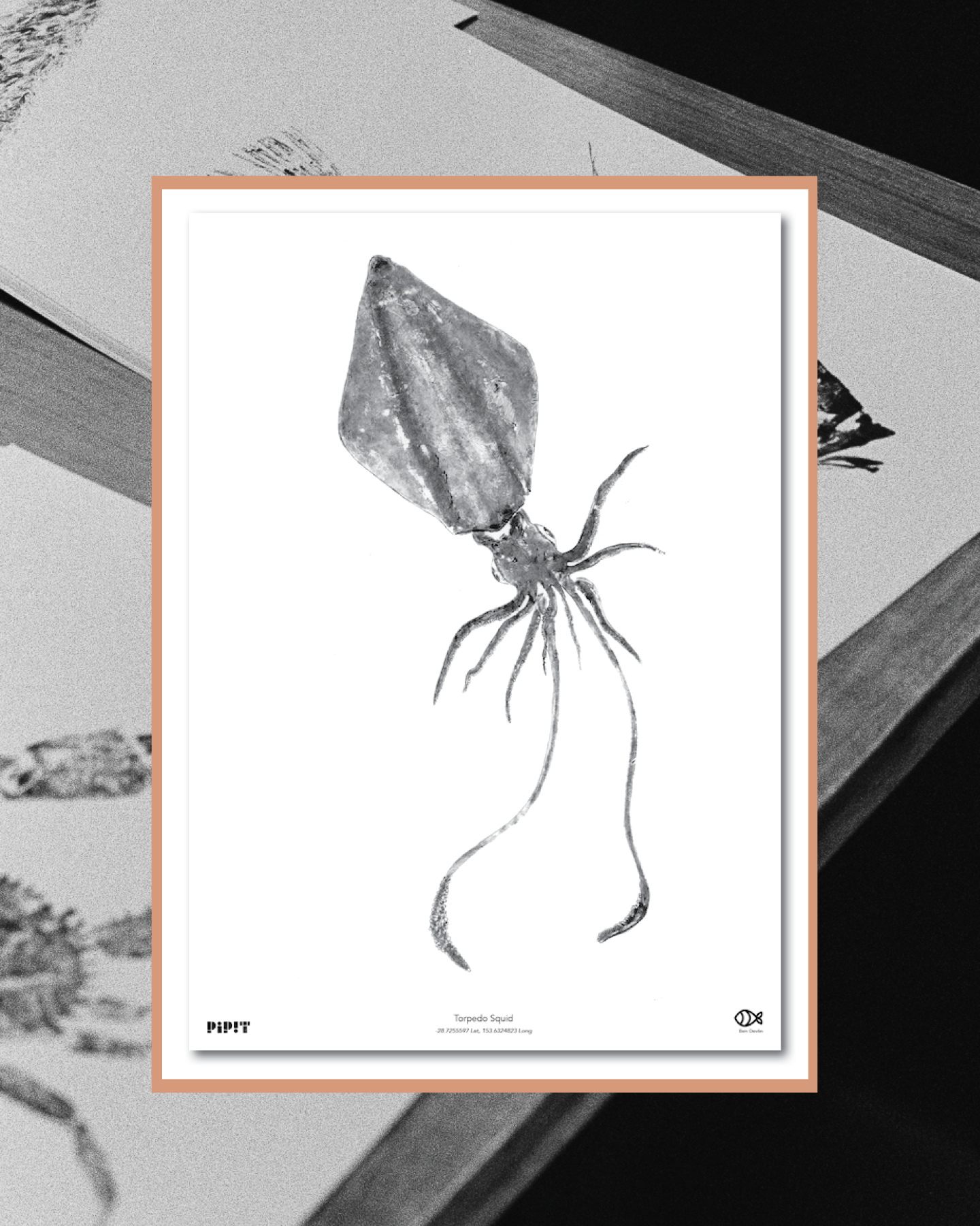 2026 SHOP Insta resize_04.png