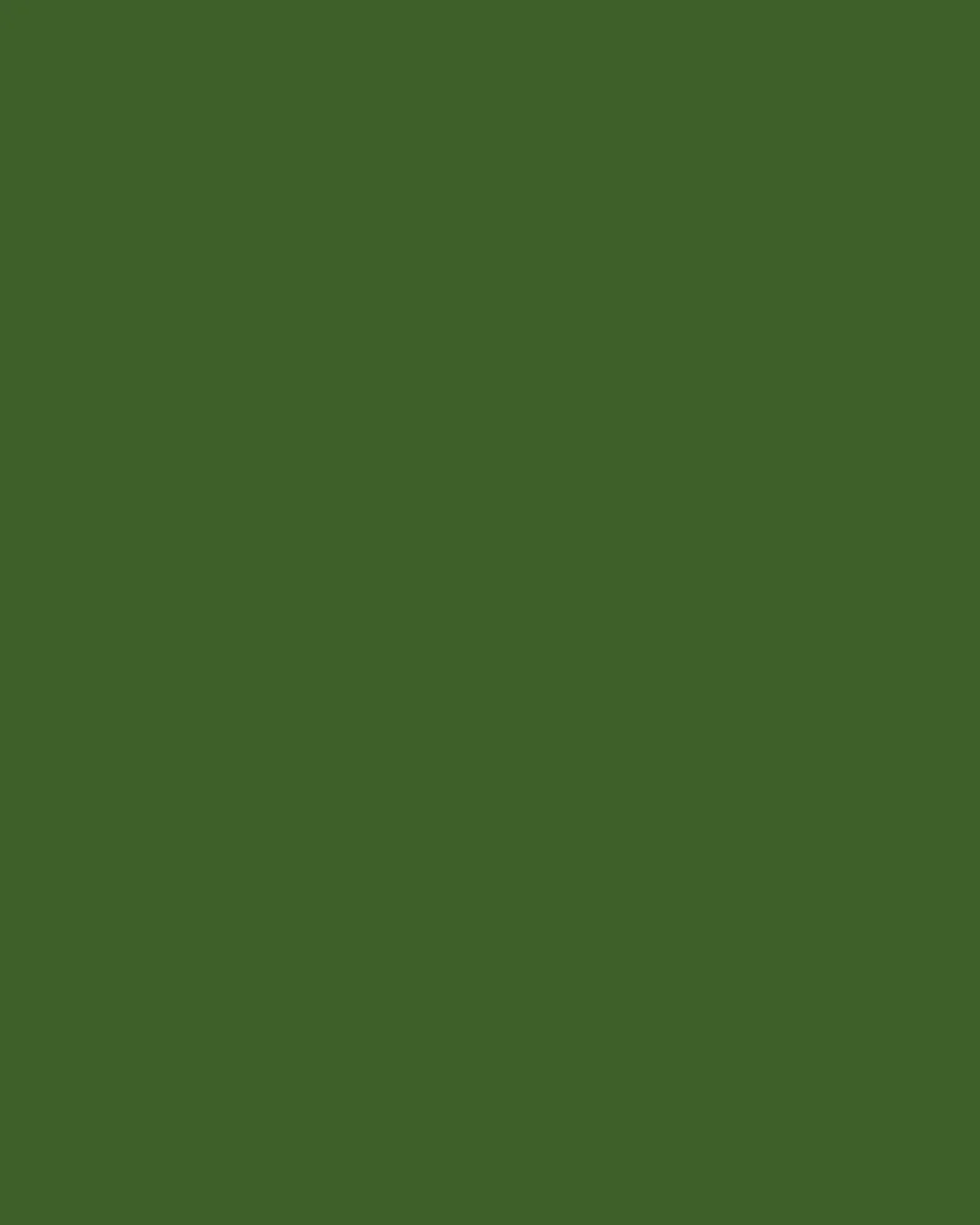 MR TRINHS Green.jpg
