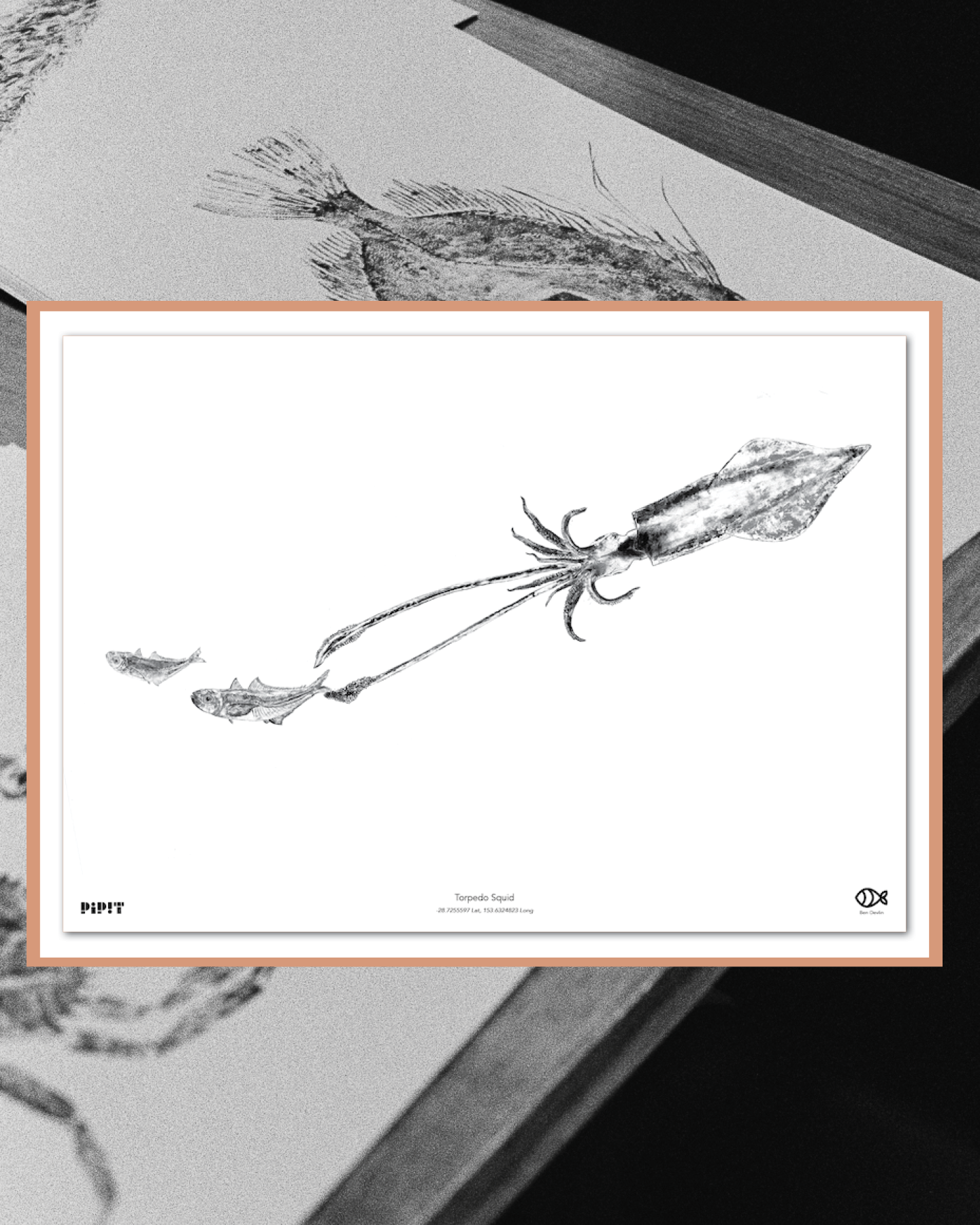 2026 SHOP Insta resize_08.png