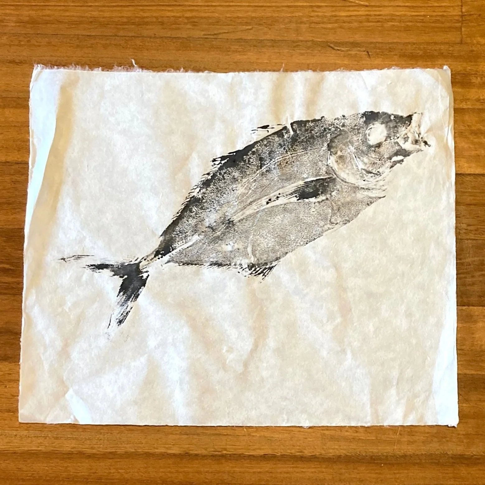 Silver Trevally (43 x 52 cm)