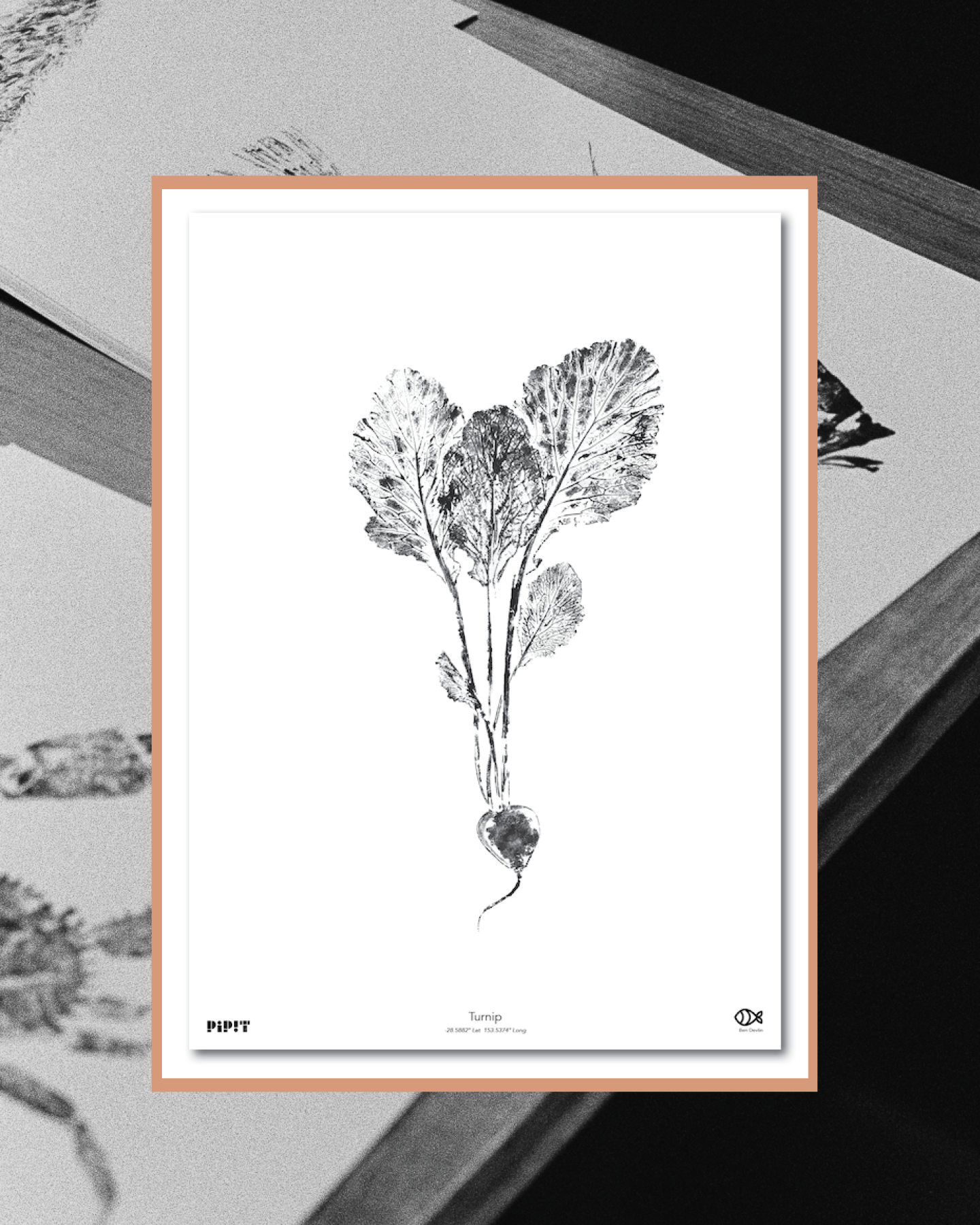 2026 SHOP Insta resize_06.png