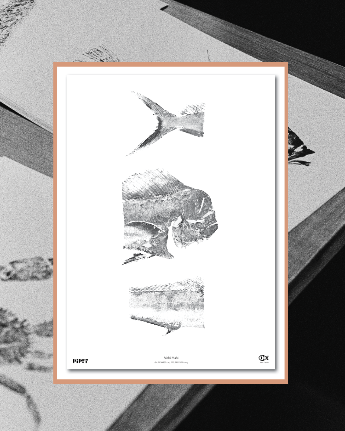 2026 SHOP Insta resize_02.png