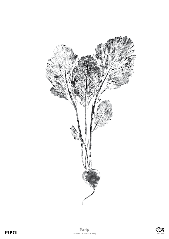 2026 A2 print logo_05.png