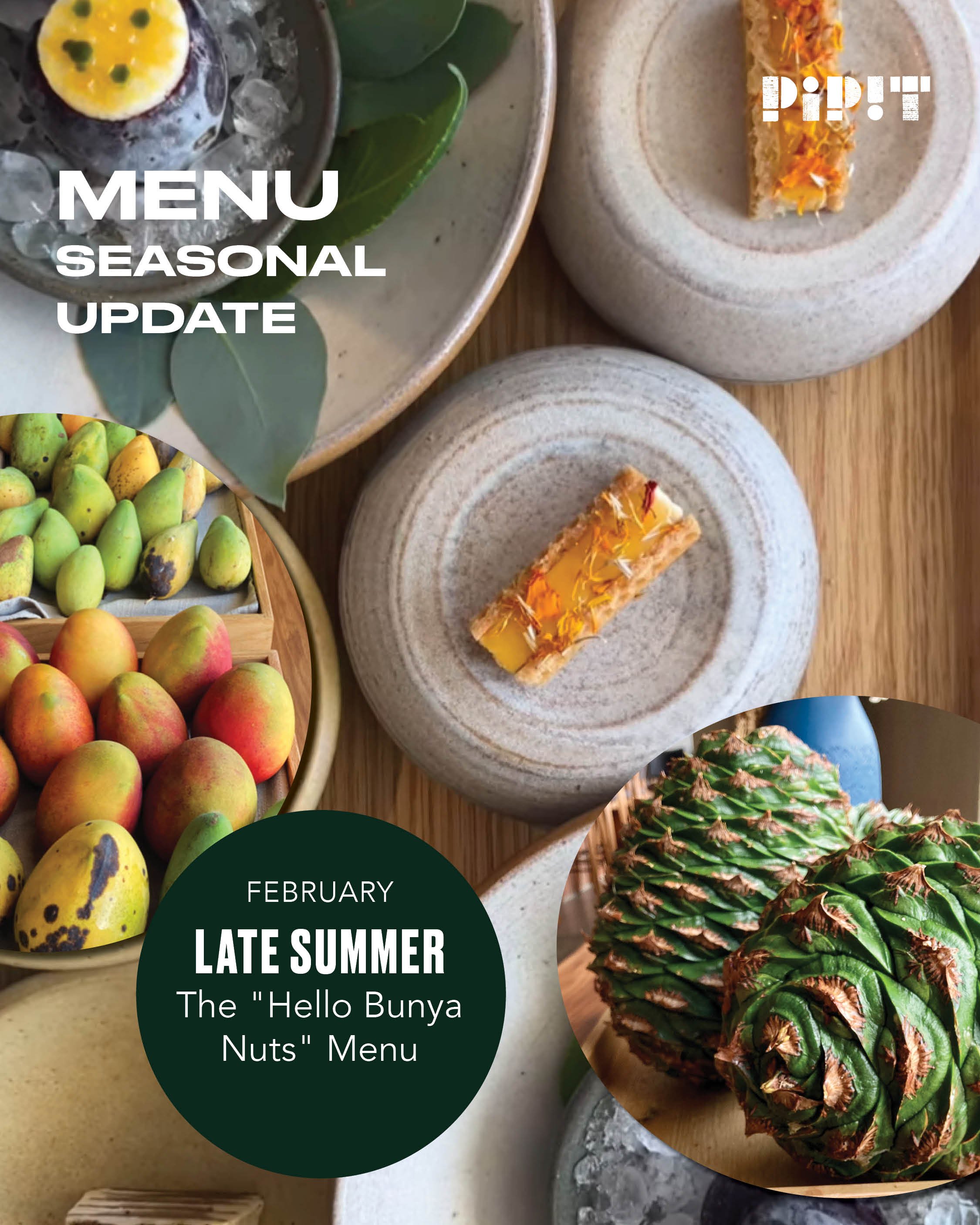 LATE SUMMER: Seasonal Update 