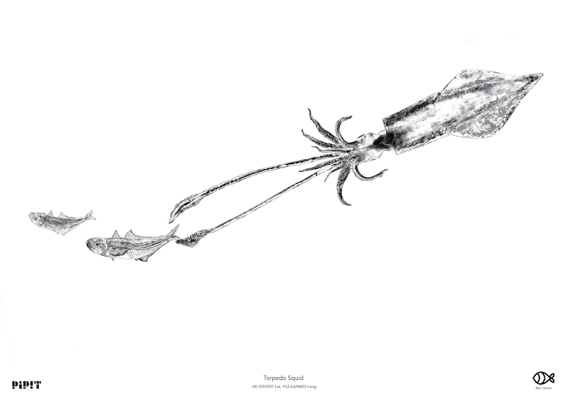 2026 A2 print logo_07.png