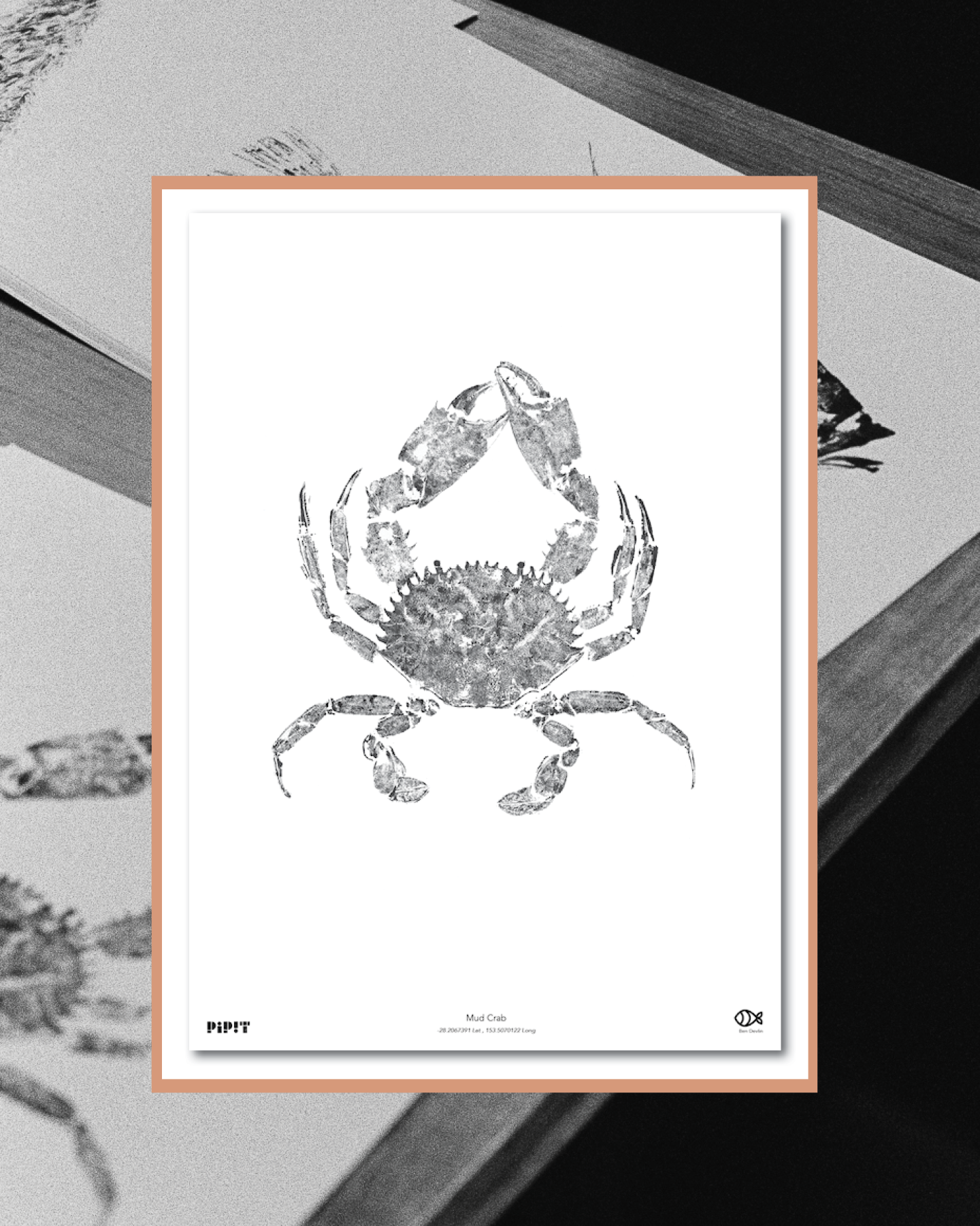 2026 SHOP Insta resize_03.png