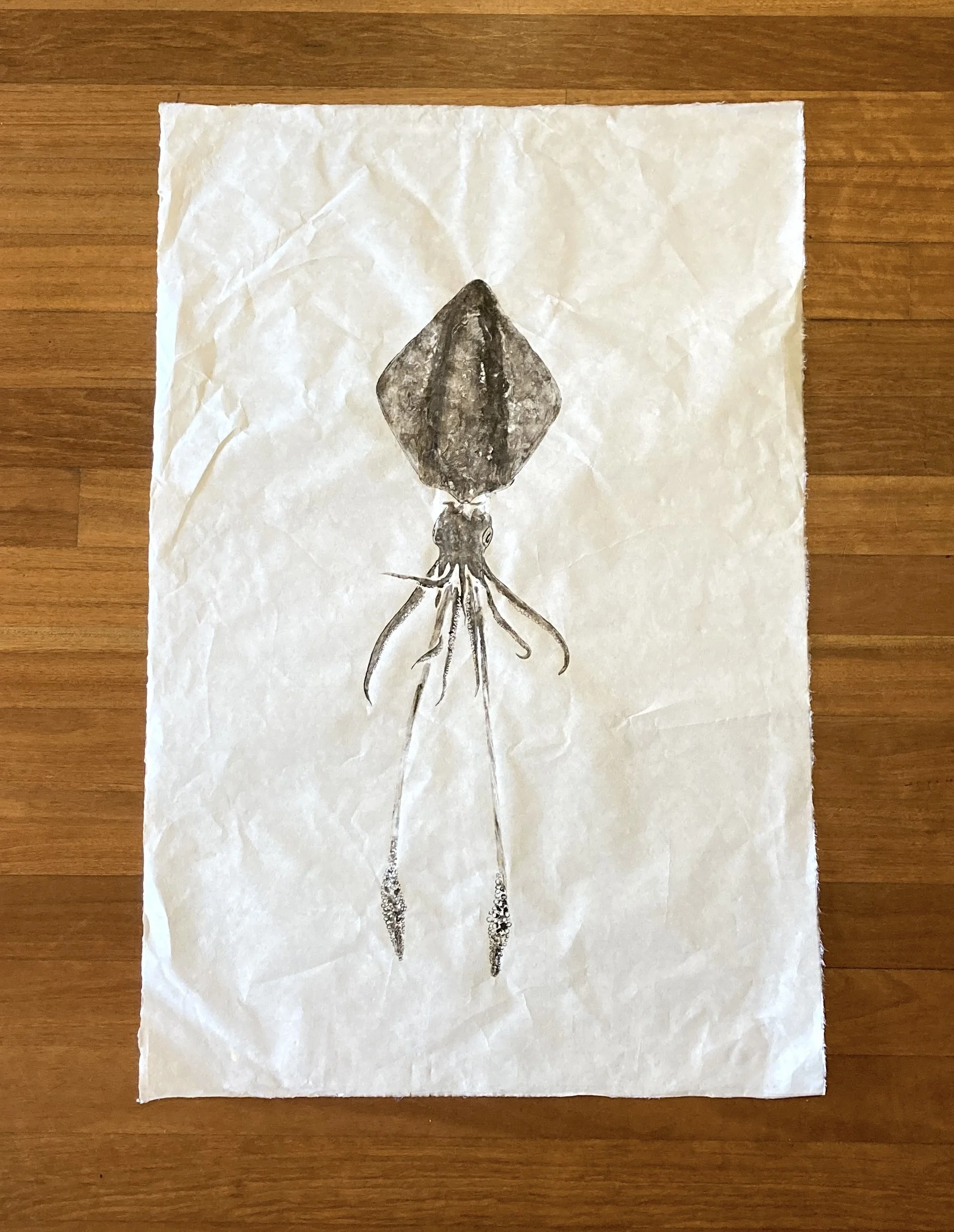 Squid (98 x 64cm)