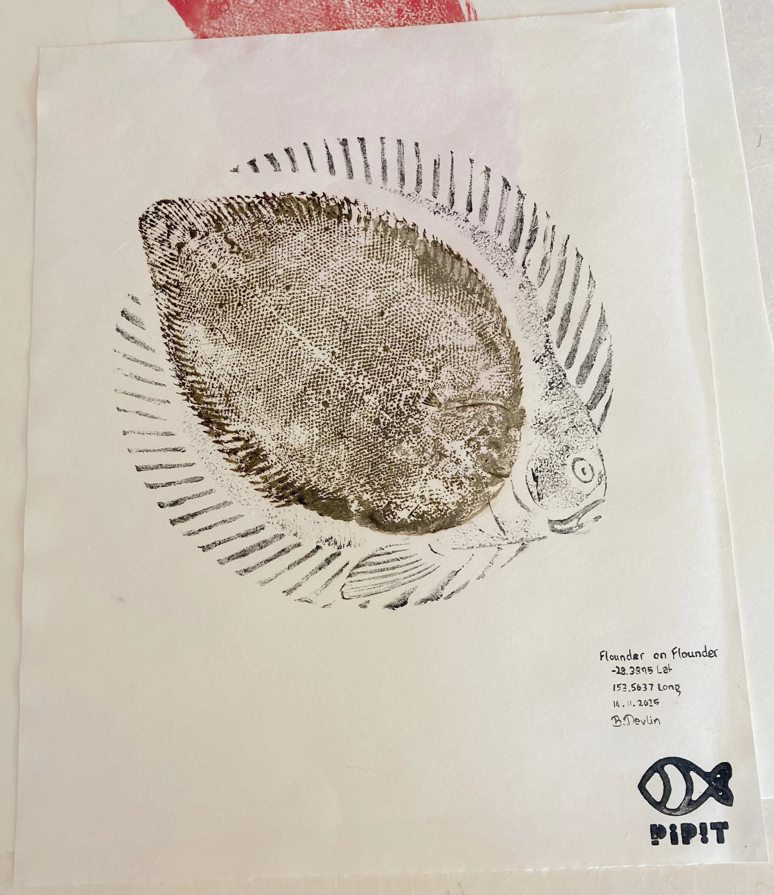 2026 Flounder IMG_9785.JPG