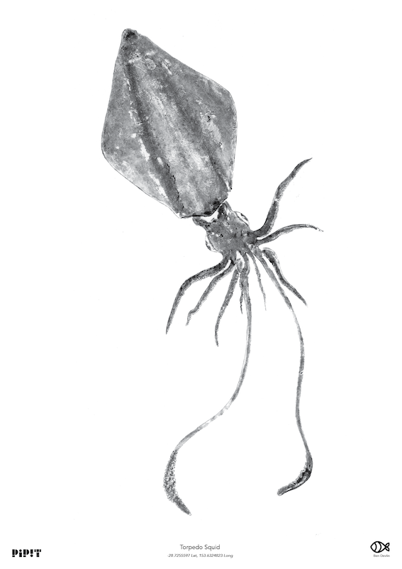 2026 A2 print logo_03.png