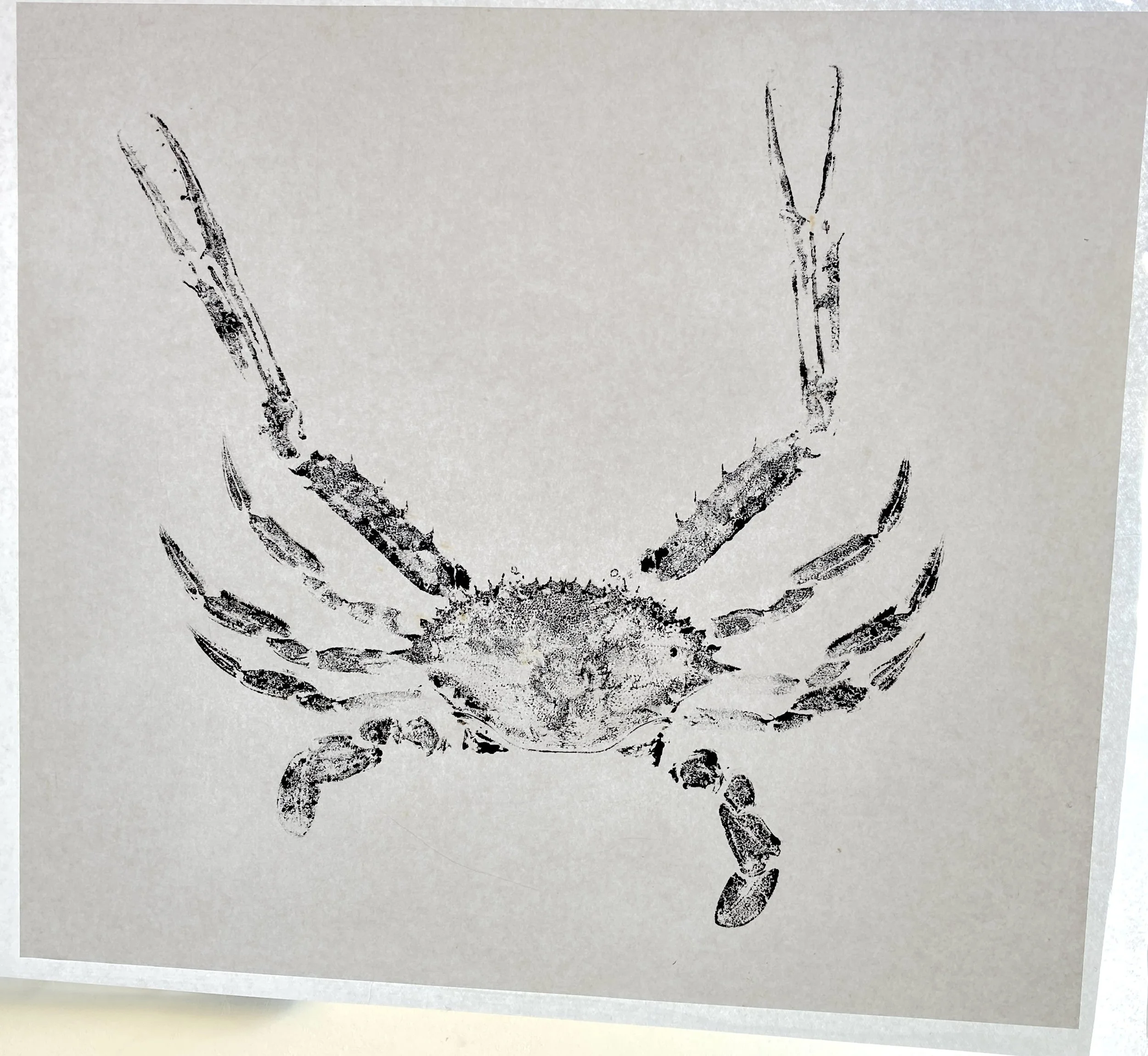 2026 Crab IMG_9782.JPG