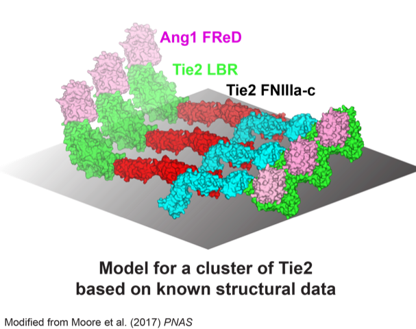 Figure2.png