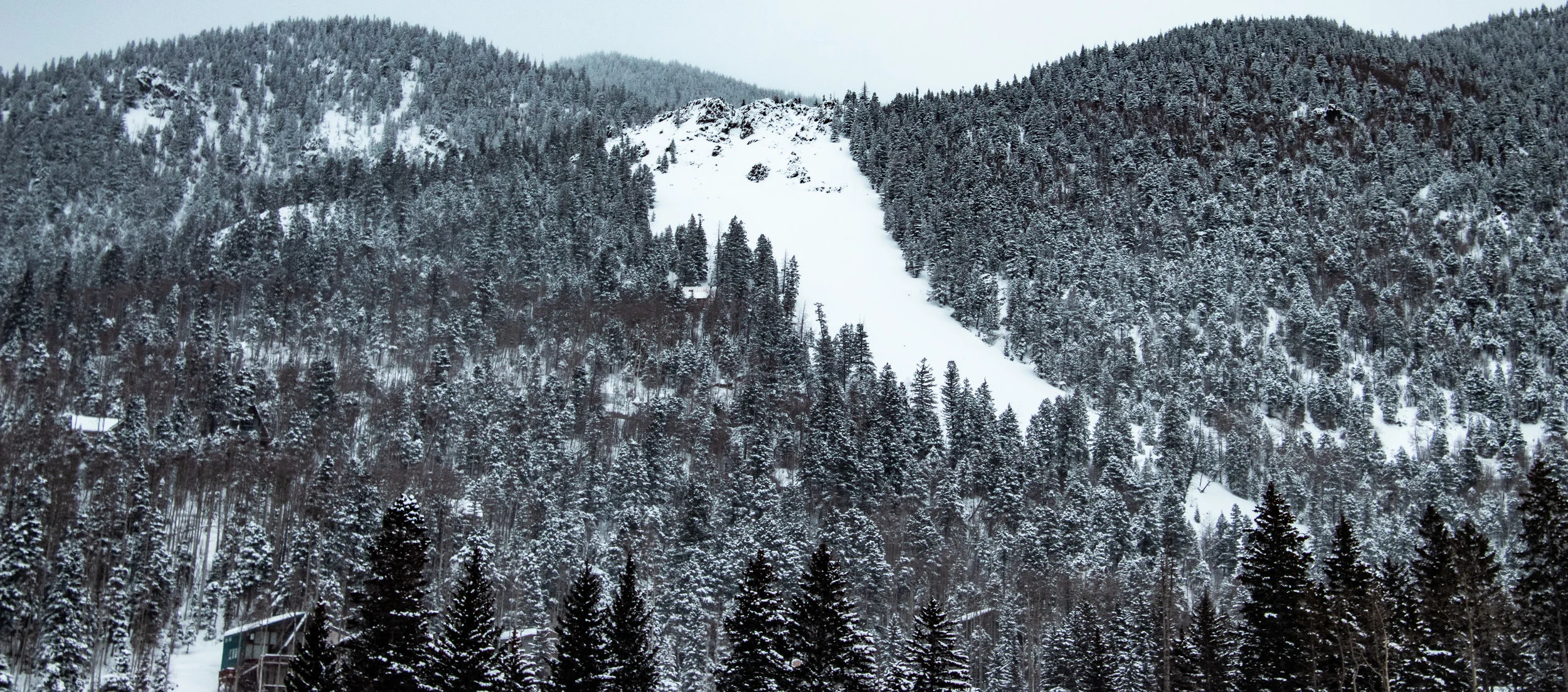 IMG_1548.jpg