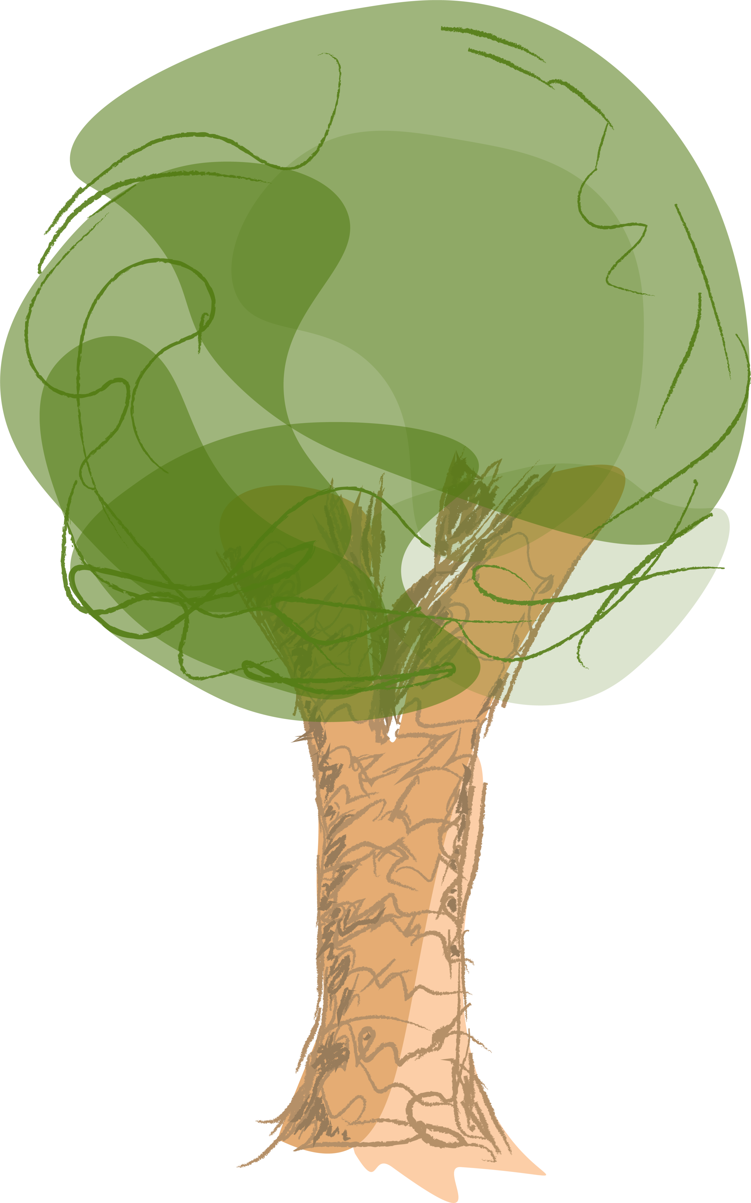tree.png