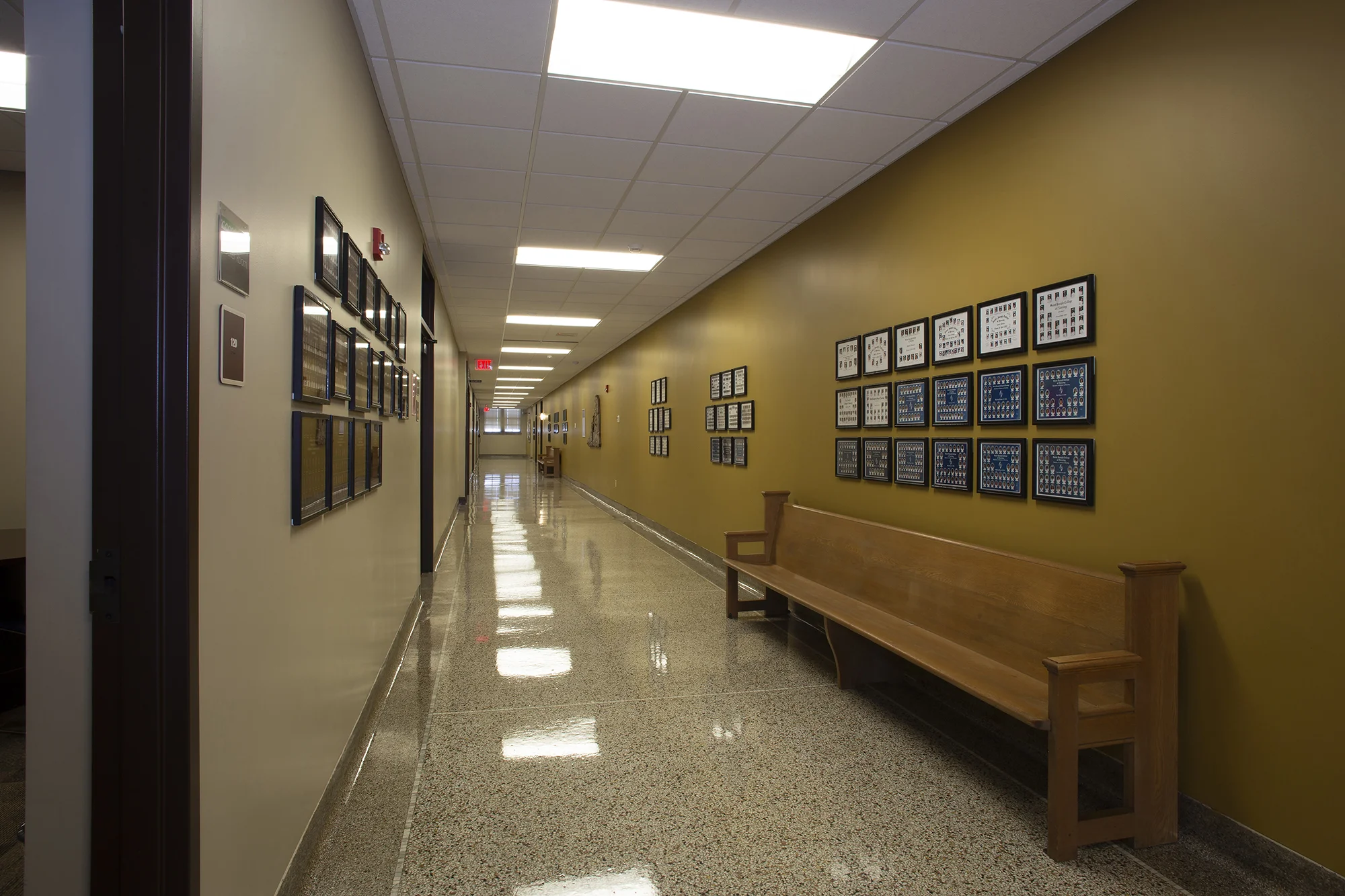 Berti-Univ-St-Francis_7170-12x8.jpg