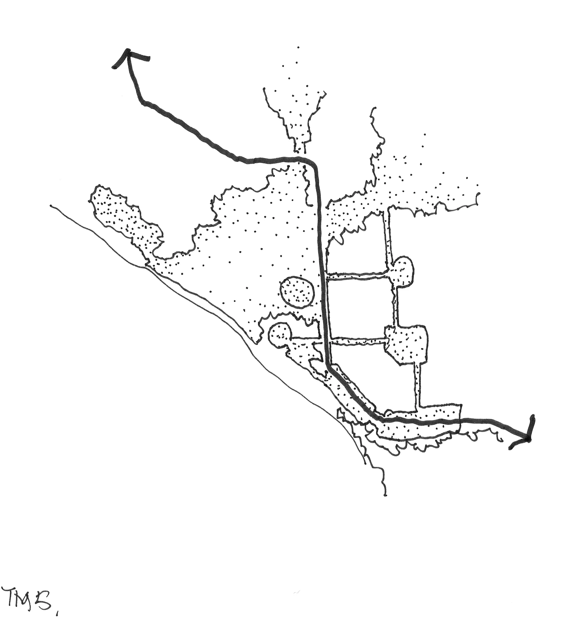 TM5.jpg