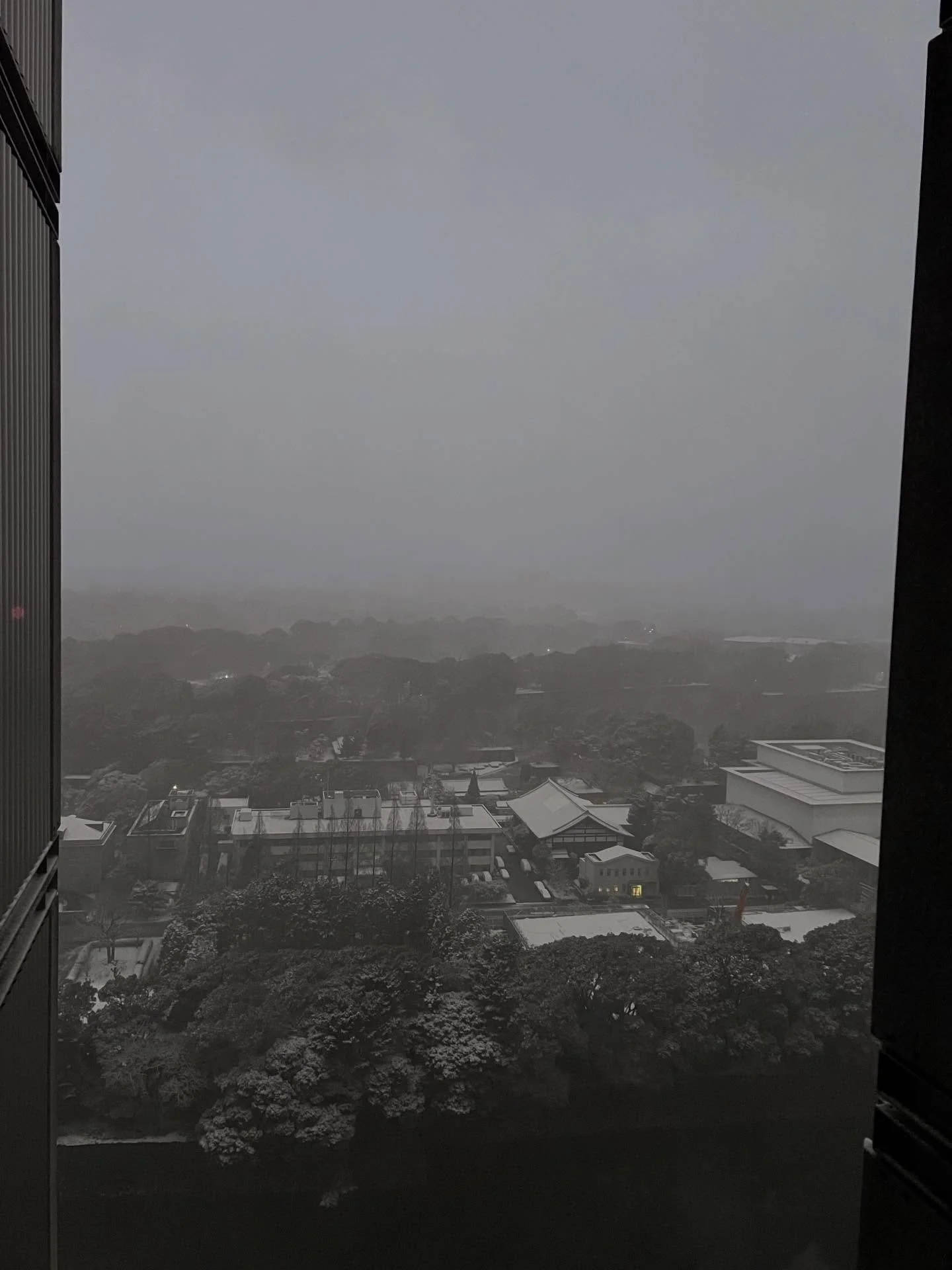 A rare sight in Tokyo. Certainly for me. The light snow began yesterday and became a little heavier overnight. This morning I awoke to this fresh blanket of one of natures wonders. The last time I saw snow in Tokyo was in the mid-Sixties when I was a