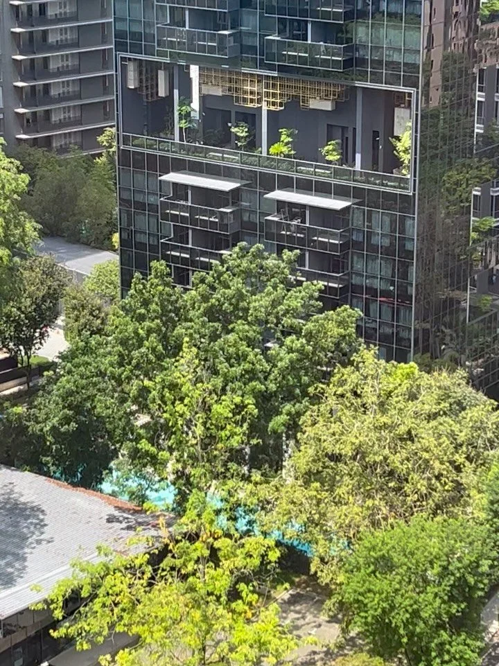 One of the most fascinating things for me about Singapore is its ever forward looking architecture. Known as "The Garden City"'since 1967, it is in the past decade that the urban landscape has truly blossomed into that title. With plants an