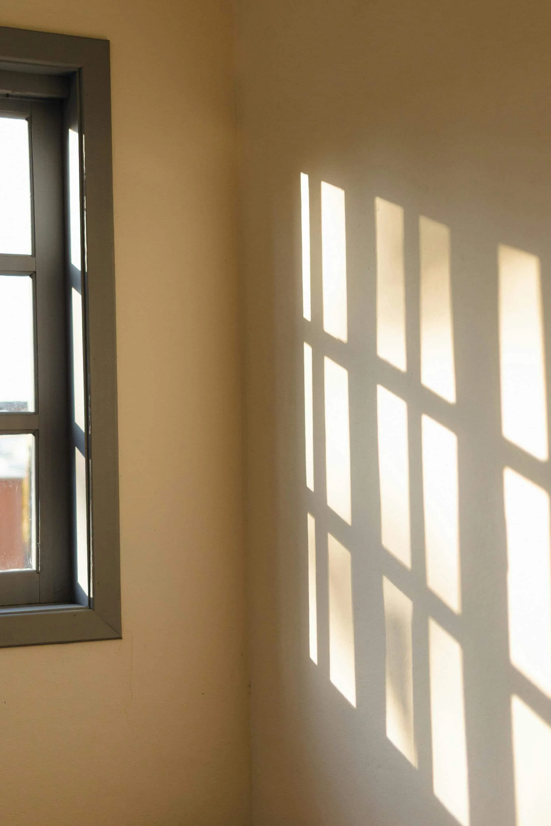 Coping With Lots of Emotions in These Troubled Times