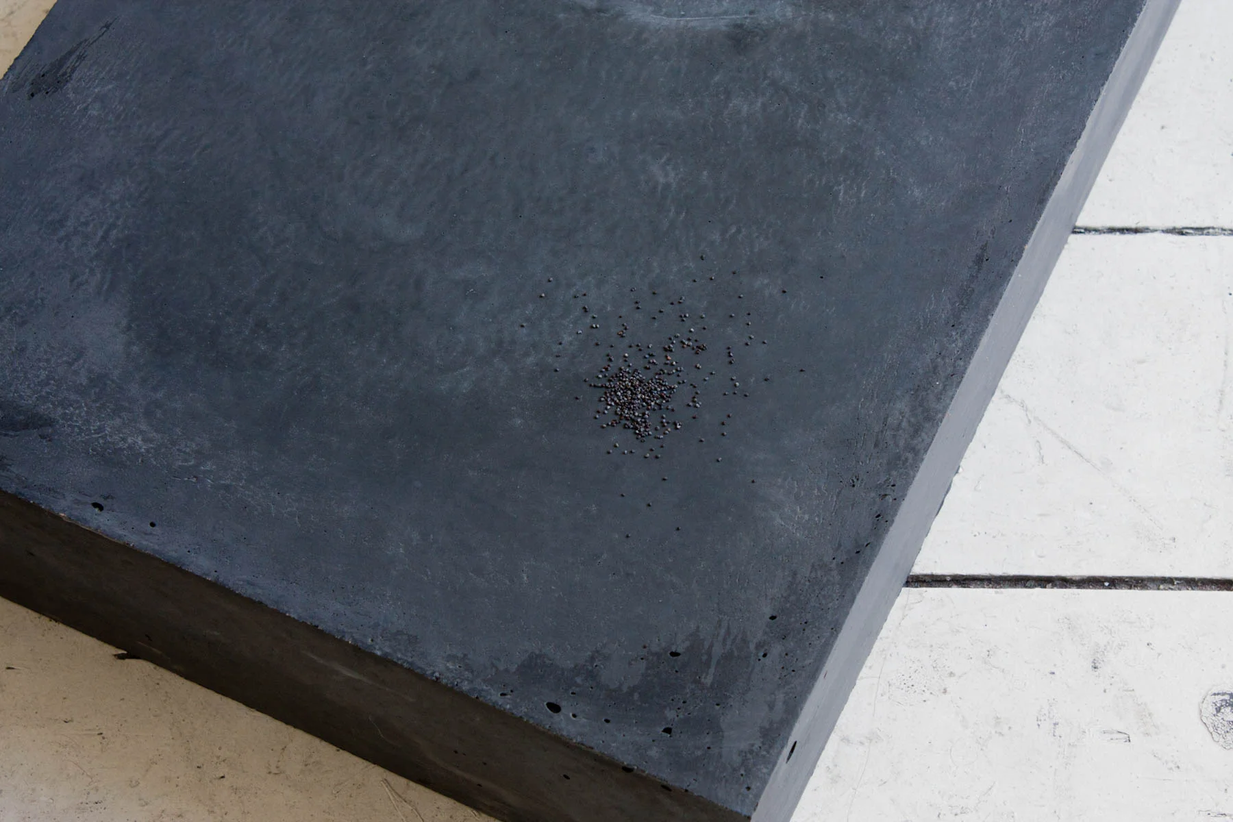 Sundari-Carmody_Hora-Somni_Steady-Illiterate-Movement_Installation_Seventh_Gallery_32.jpg