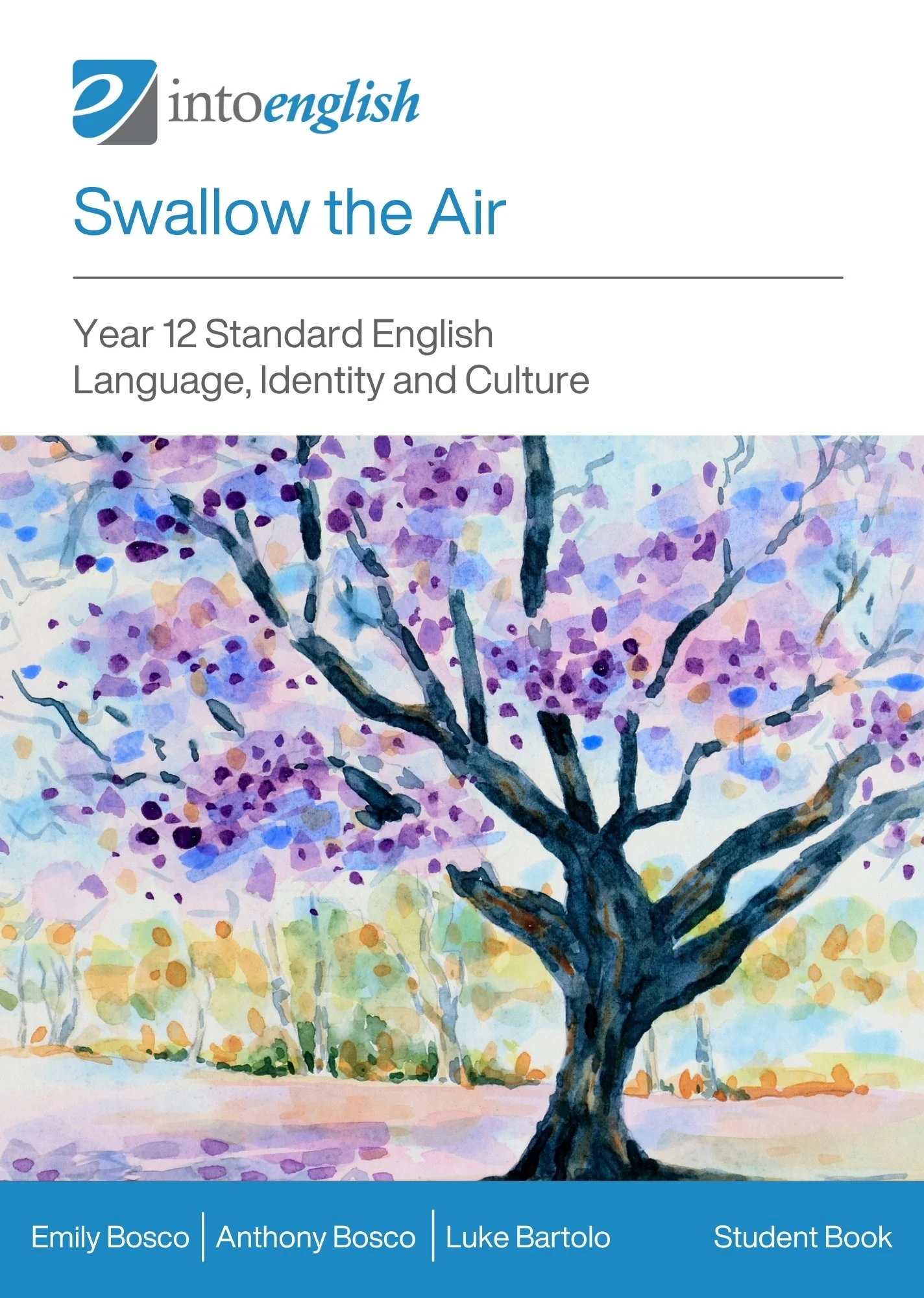 Swallow-the-Air-Front-Cover-(215 x 302 mm).jpg