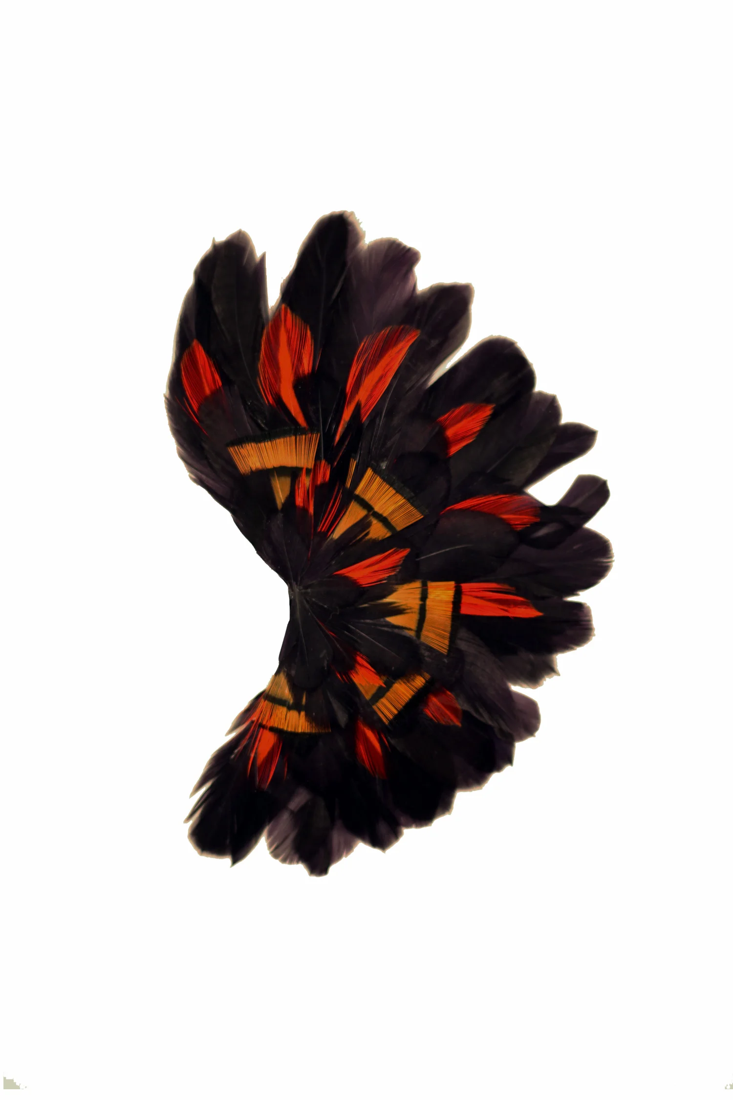 FlorenceCoenraets_AccessoiresdeTete_Echo_ParmeOrangeCoqOrangeFaisan.jpg