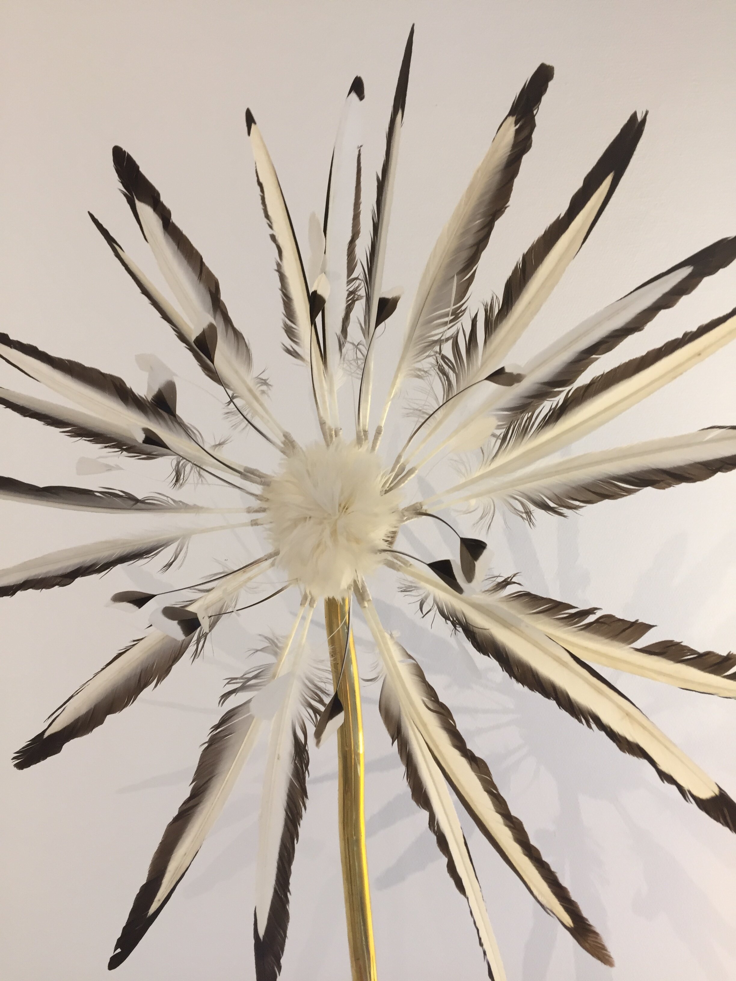 Des fleurs d'exception chez Georges !