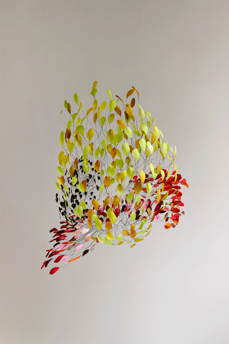 Atmosphère VIII, Floraison presented in Paris !