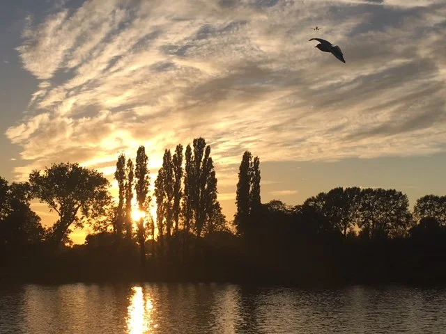 river.JPG