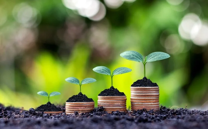 Mudah Memilih Reksa Dana untuk Pemula : Bibit X Lifepal