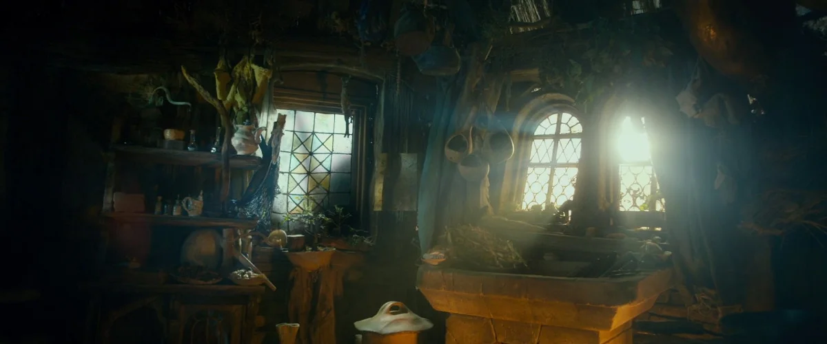 Radagast interior film still