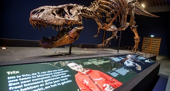trex in glasgow at kelvin hall 2019.jpg