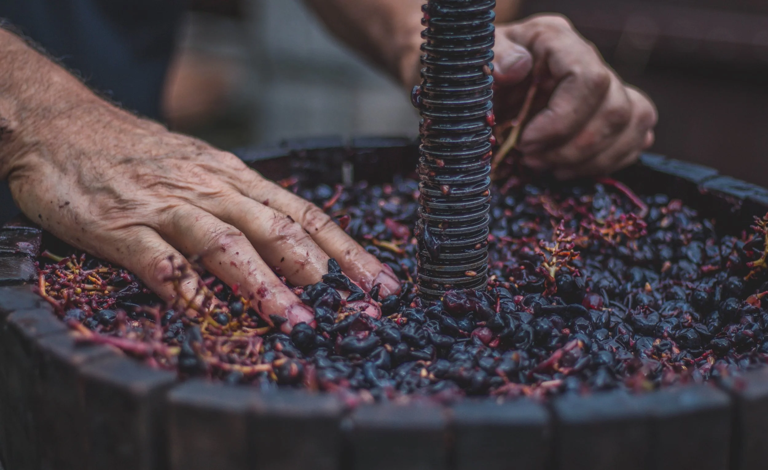 the-wine-trust-6.jpg