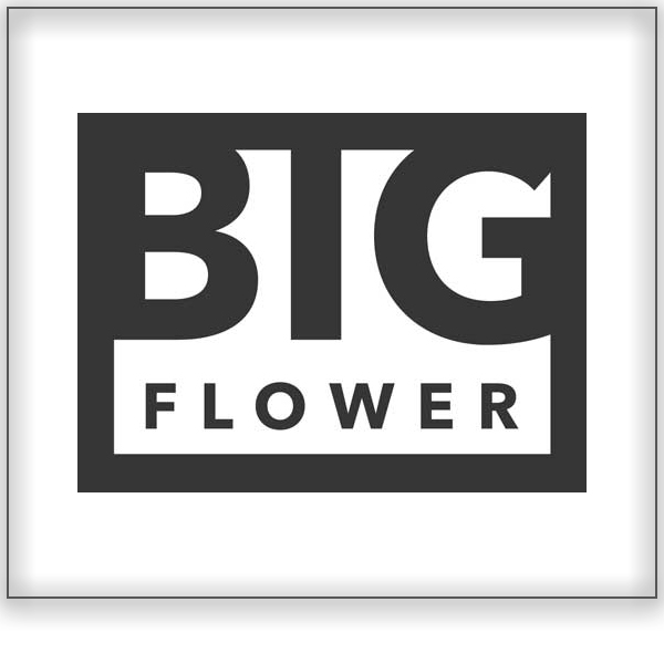 Big Flower | Botanica&lt;a href=/big-flower&gt;Stellenbosch, South Africa ➤&lt;/a&gt;