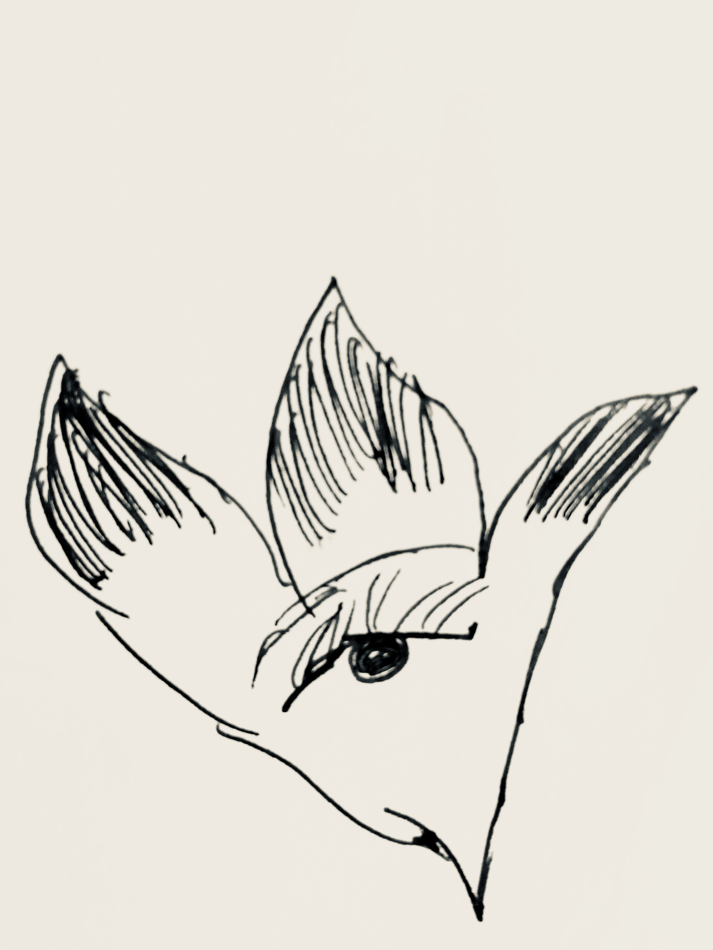  Tiger's drawn response to the Elie Saab Embroidery Project 