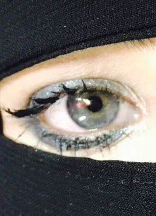  The eye. 