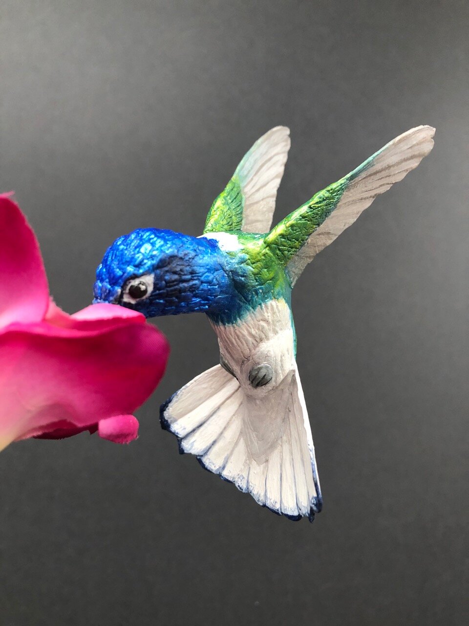 White-necked Jacobin