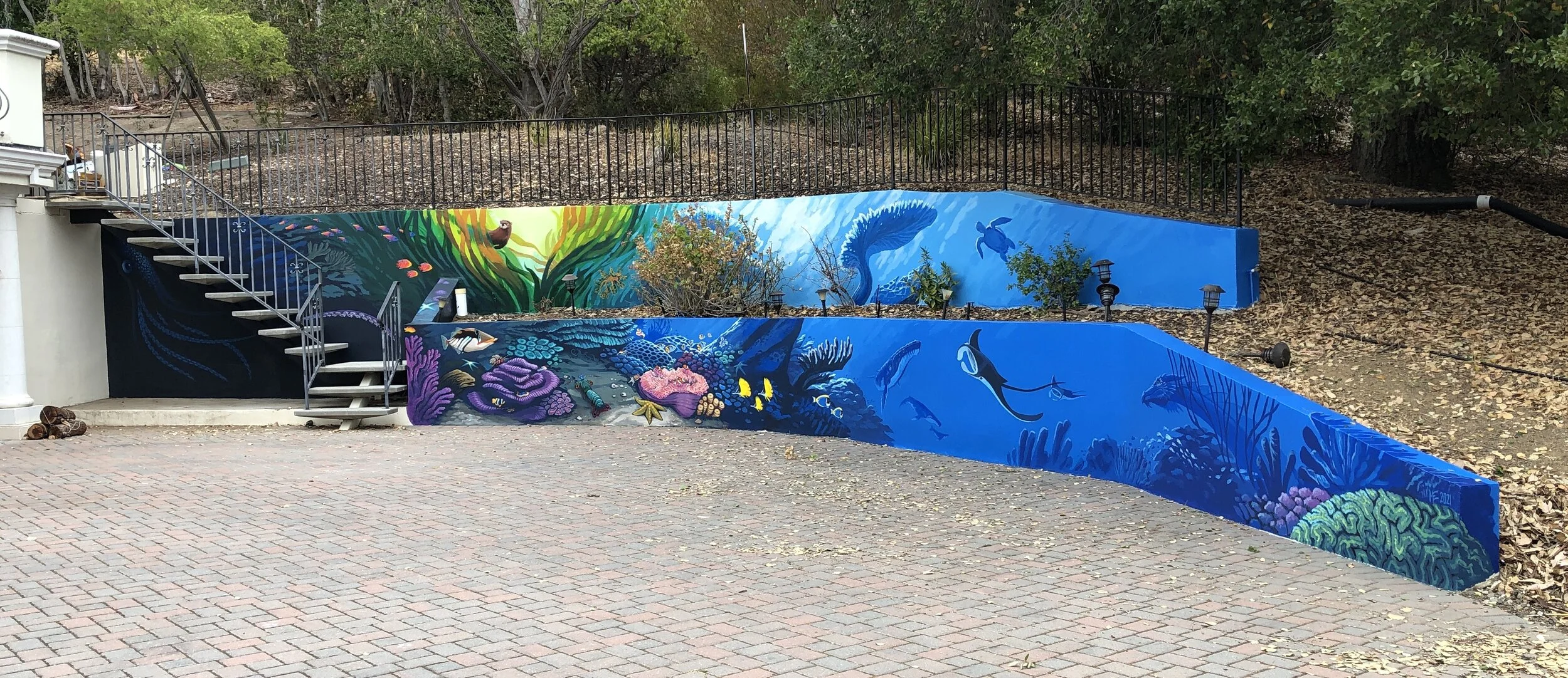 View from the Driveway