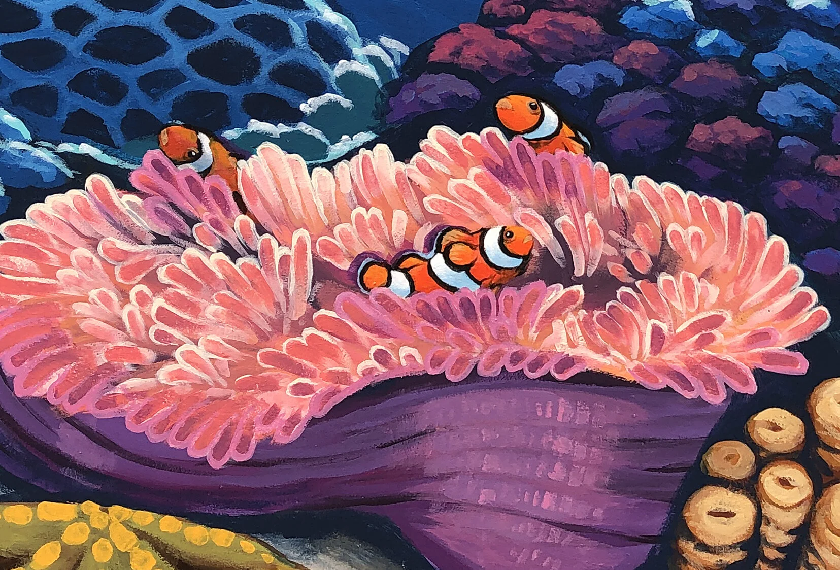 Anemone with Clown Fish
