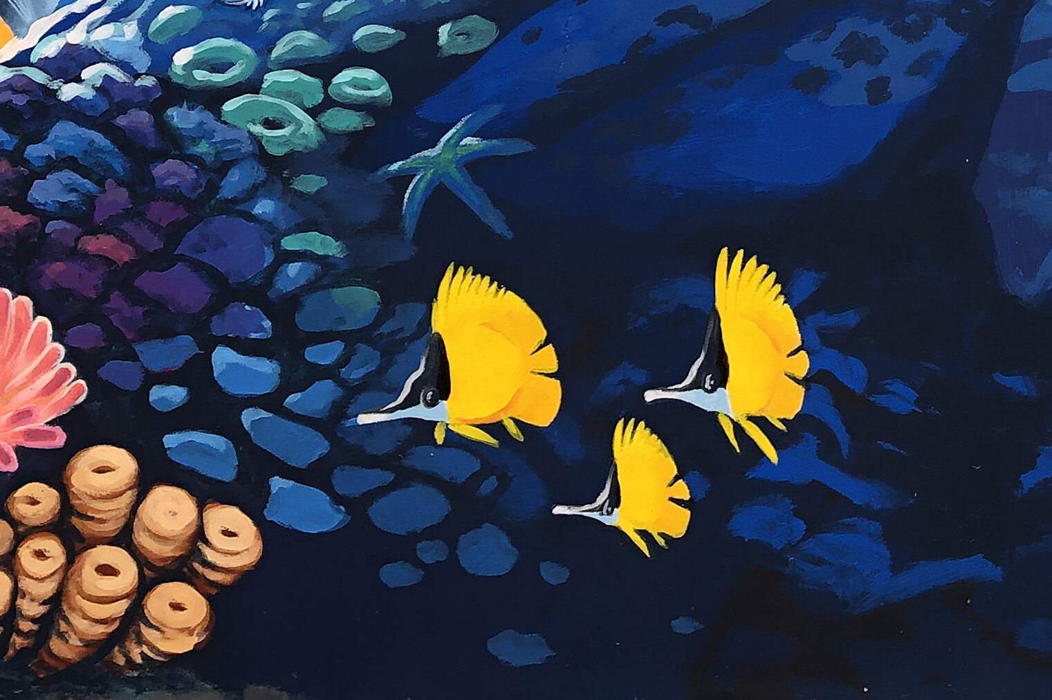 Lauwiliwilinukunuku'oi'oi