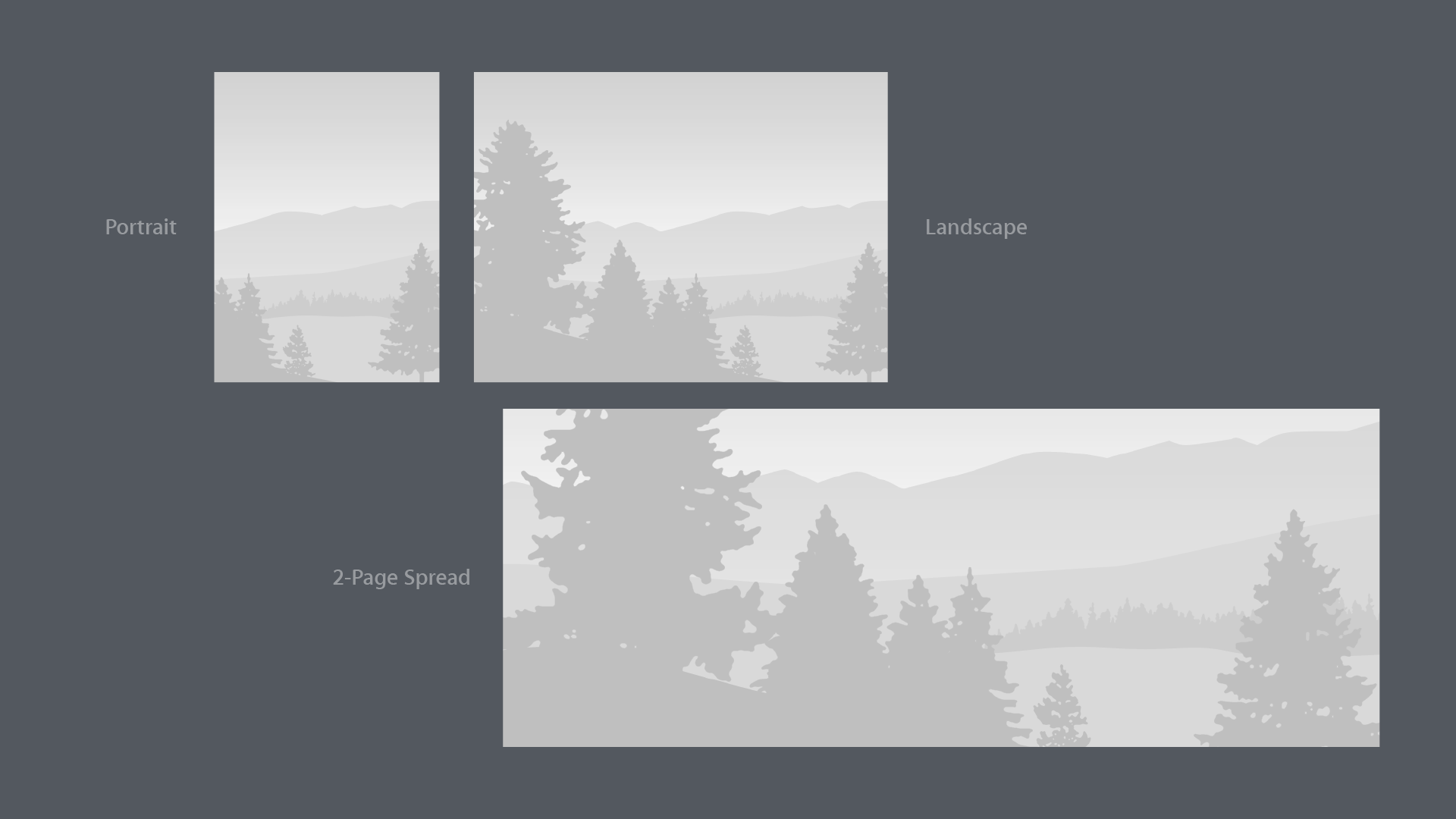FPO Variants-3.png