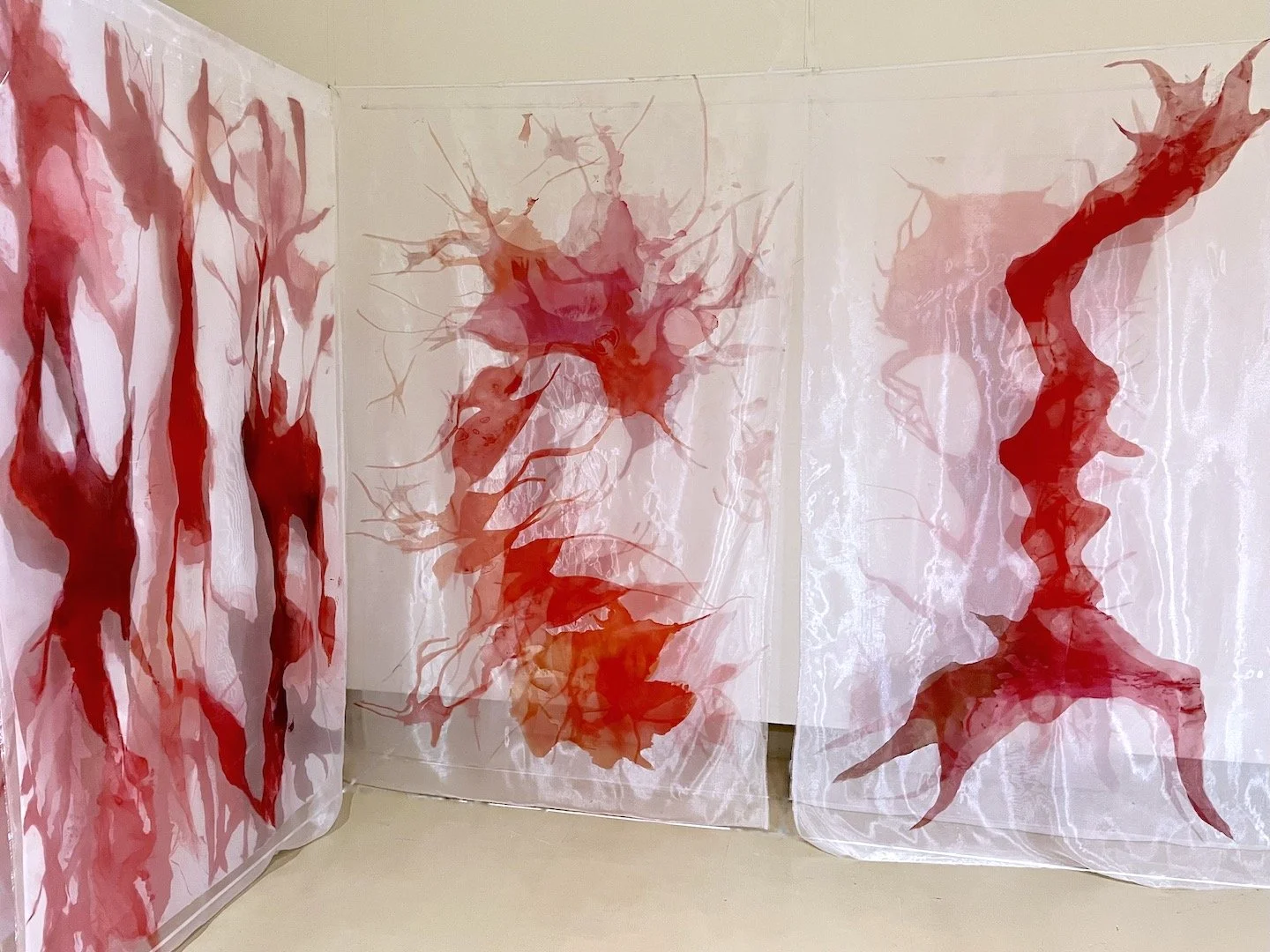 2222 MichalGavish Changwon 03.jpeg