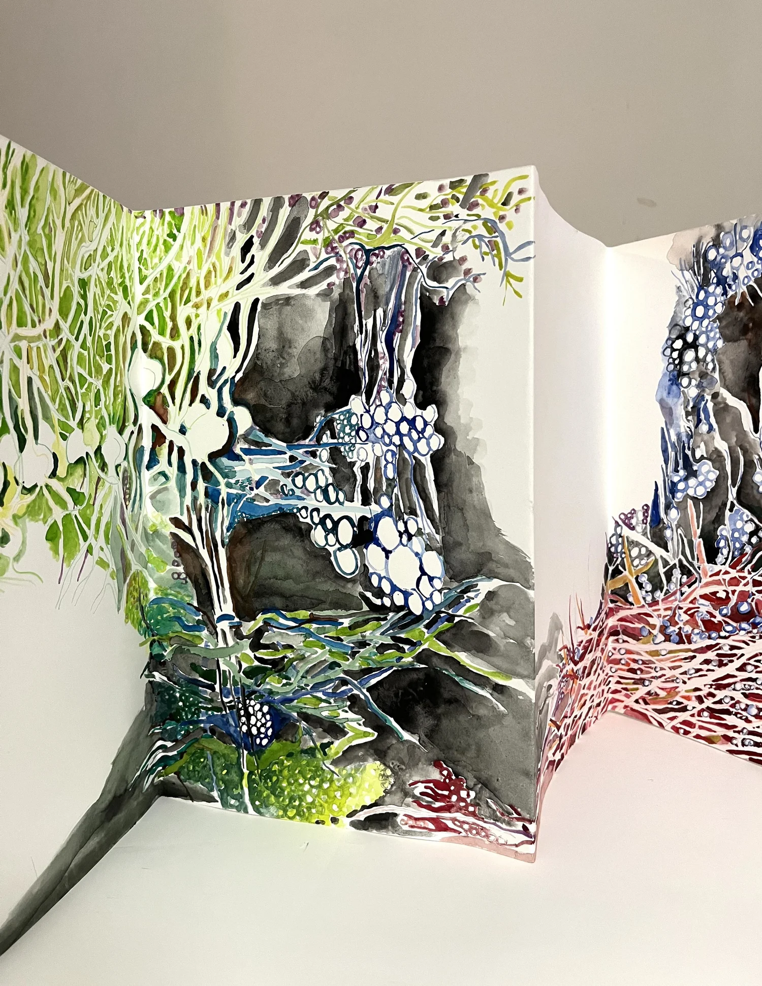 アート・デザイン・音楽 PHYSIOGNOMIA ARBORUM アート・デザイン・音楽 PHYSIOGNOMIA ARBORUM Amazon.com