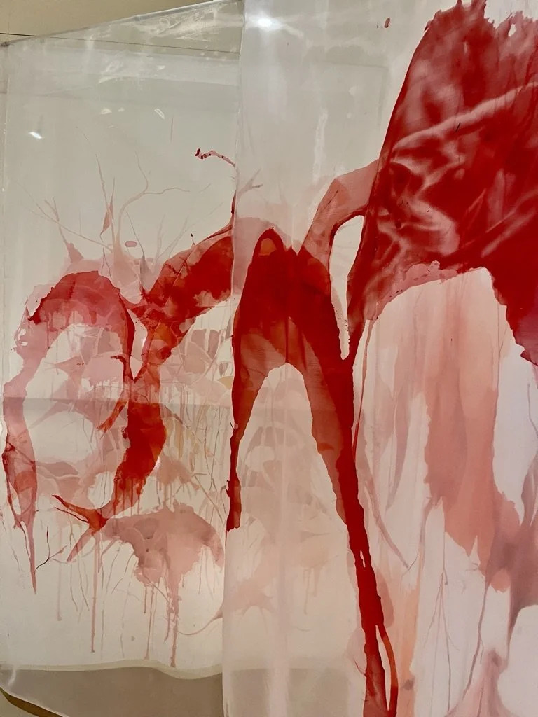 1a. Gavish_Michal From synapses to Free Will (angle).jpeg