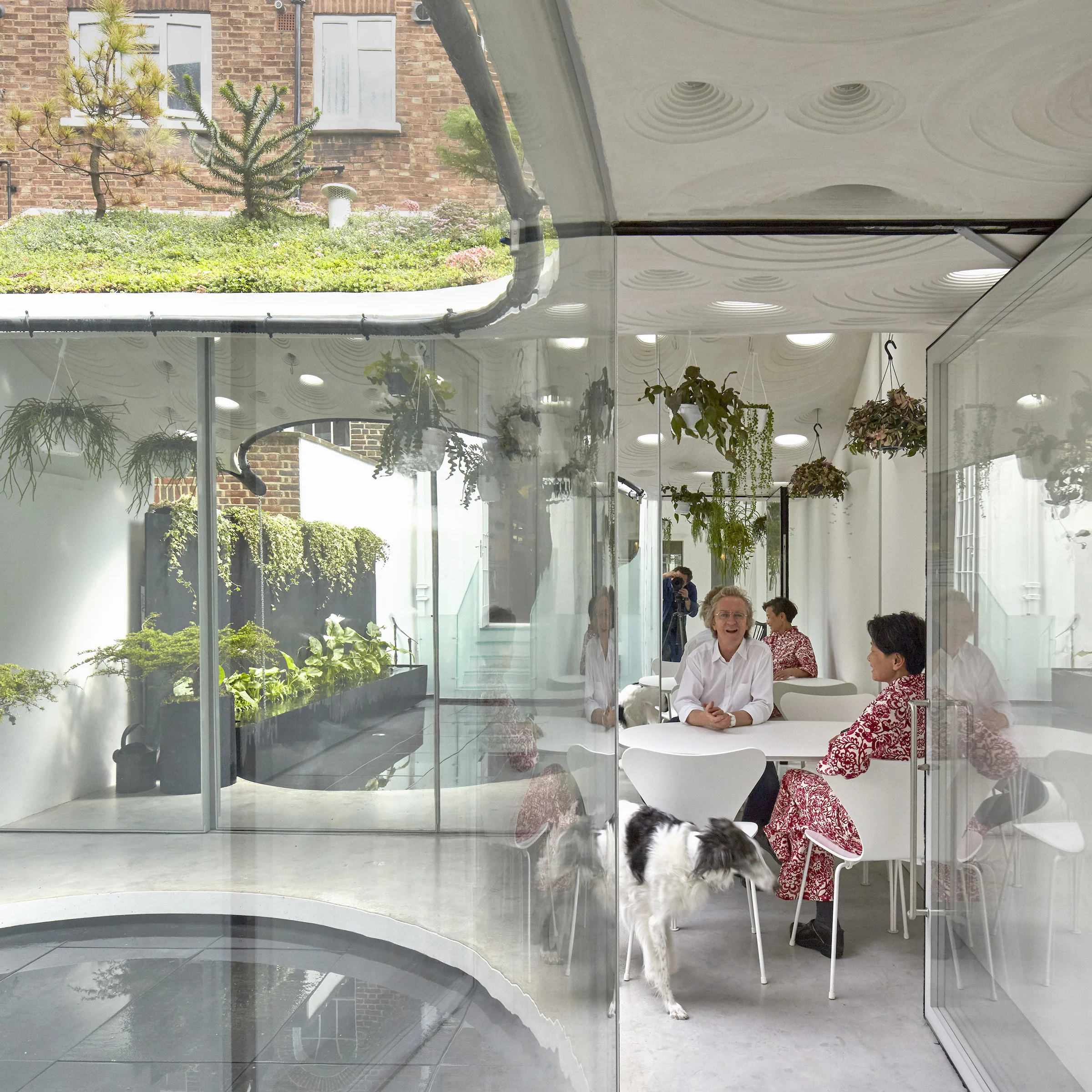 Sun Rain Rooms wins first prize at Don't Move, Improve! 2018